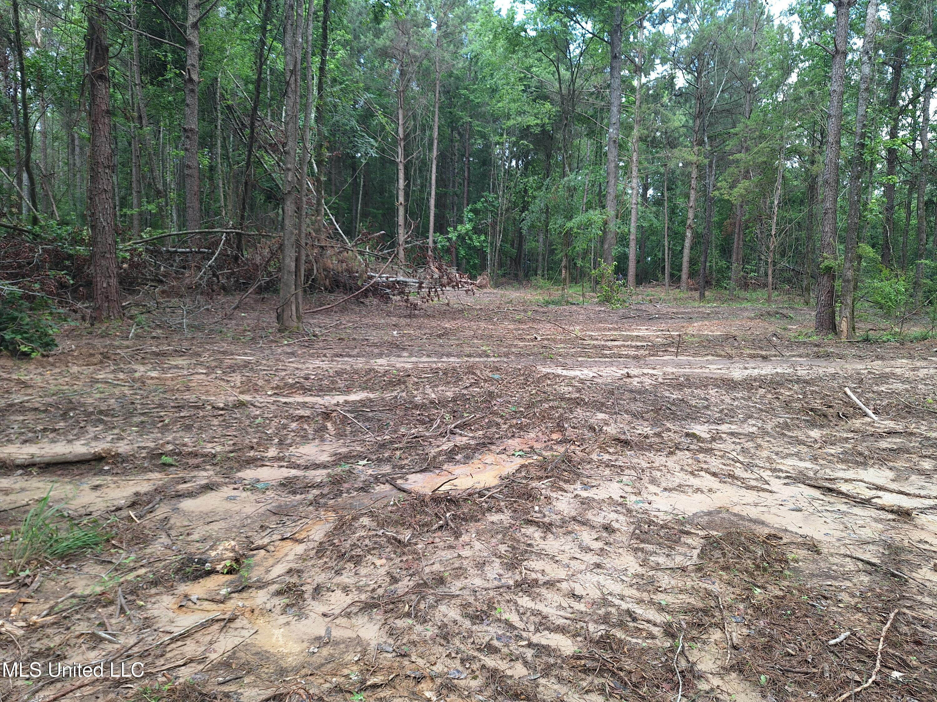 1078 Dry Creek Road, Mendenhall, Mississippi image 35
