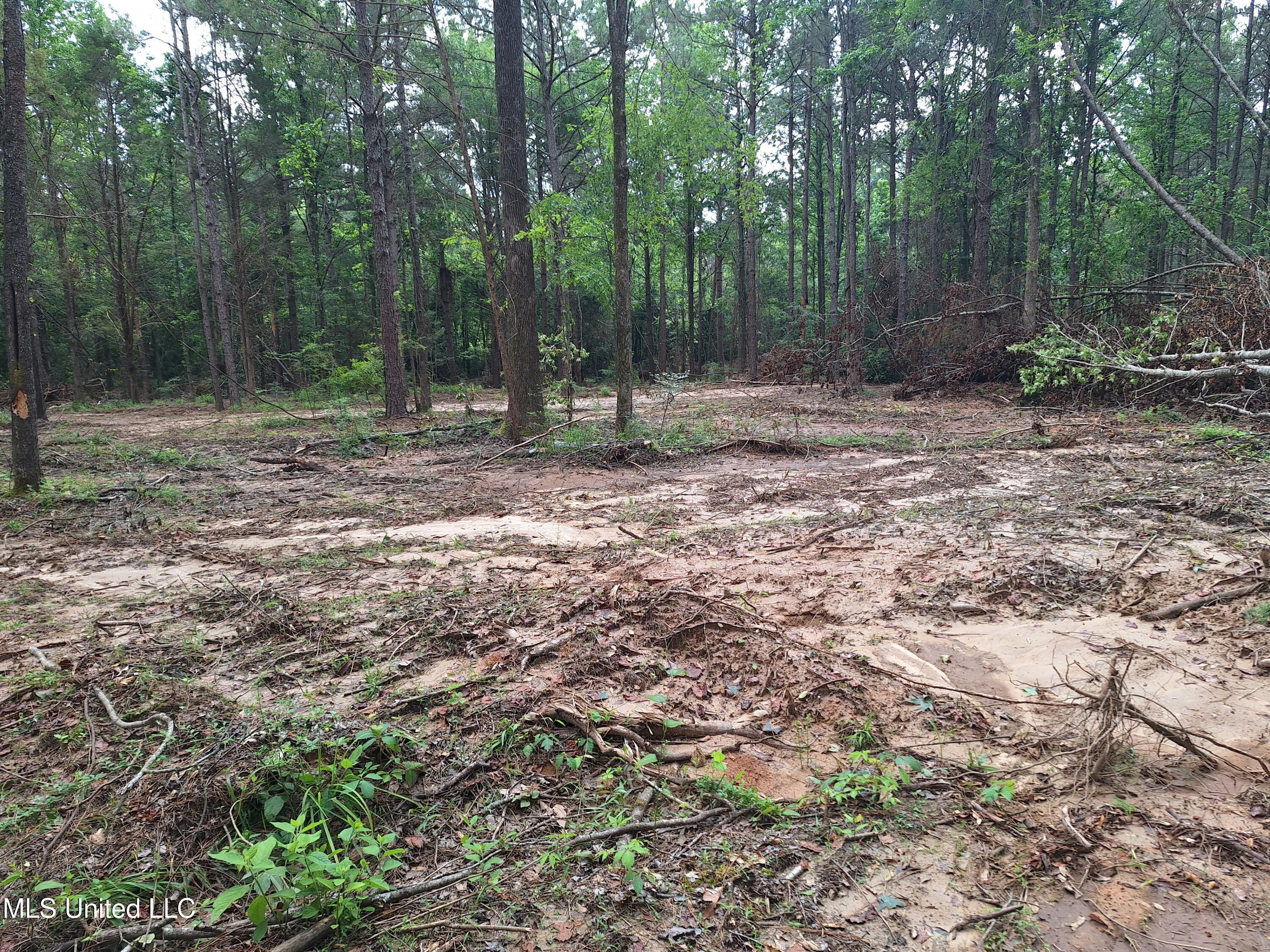 1078 Dry Creek Road, Mendenhall, Mississippi image 12