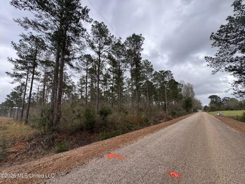 Vacant Land For Sale - LOT 5 Dinan Salem Road<br/> Walthall County, Tylertown, MS 39667