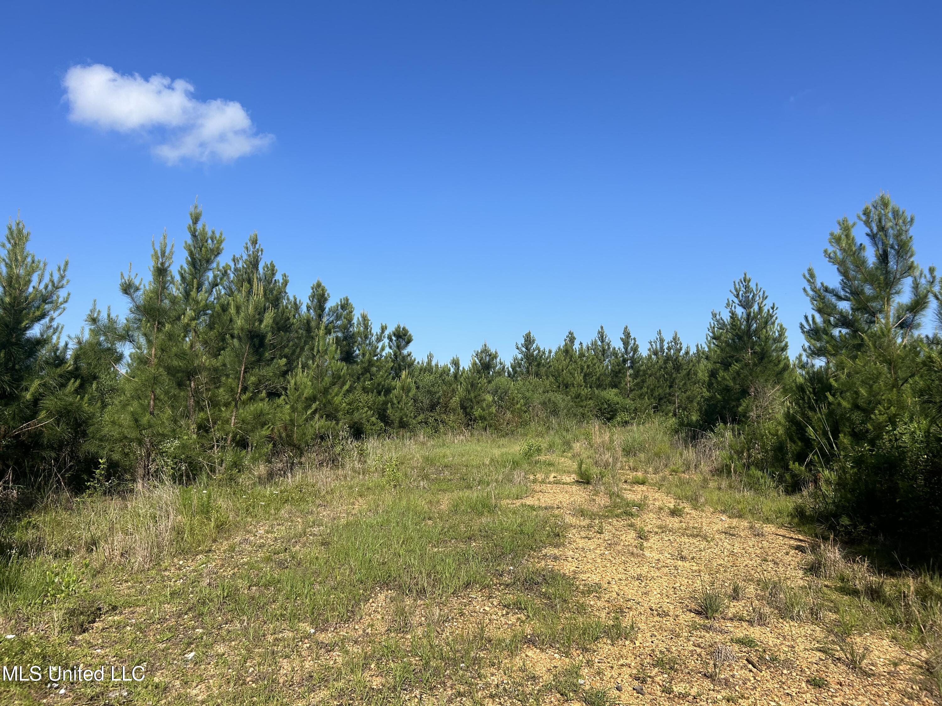 Nolan Felder Road, Magnolia, Mississippi image 9