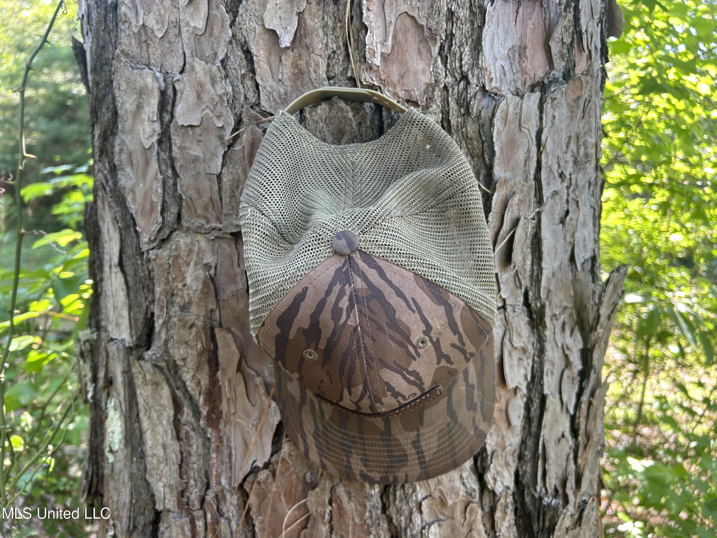 Nolan Felder Road, Magnolia, Mississippi image 14