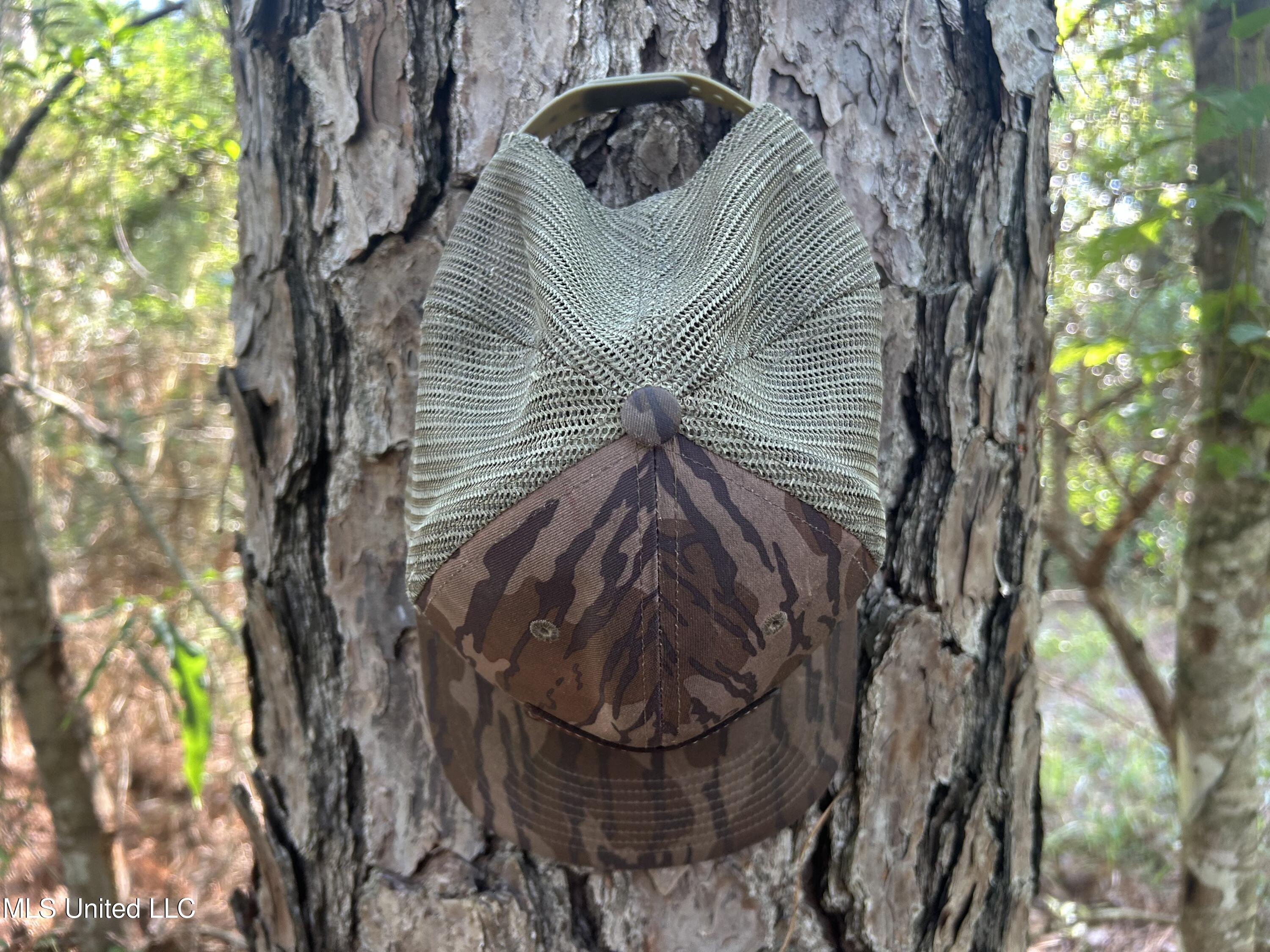 Nolan Felder Road, Magnolia, Mississippi image 15