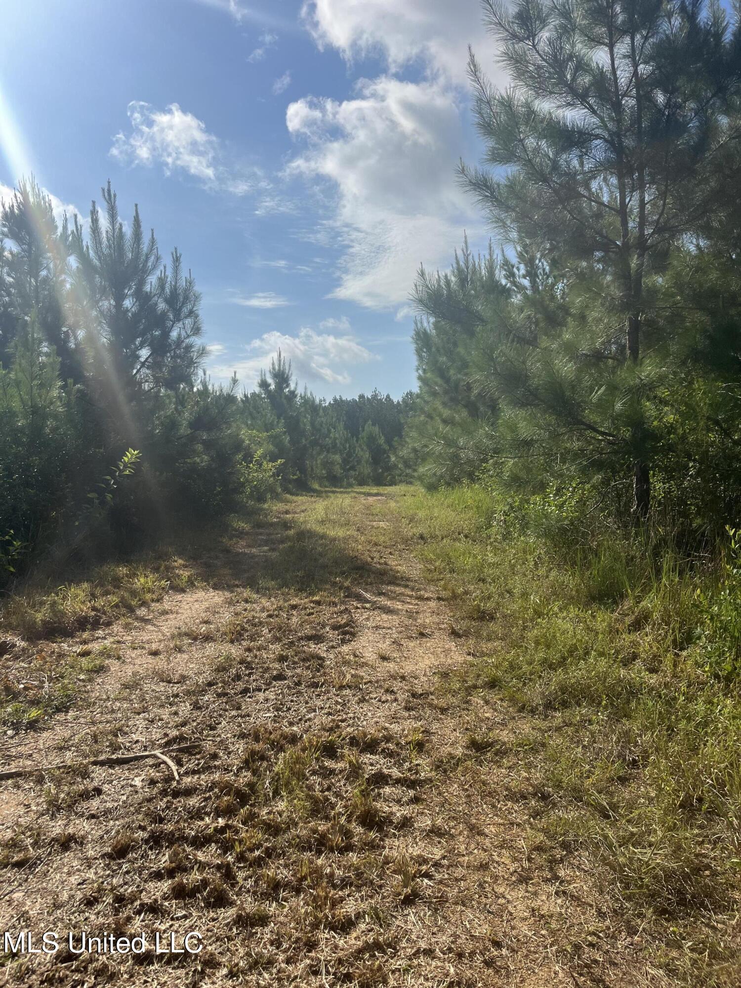 Nolan Felder Road, Magnolia, Mississippi image 4