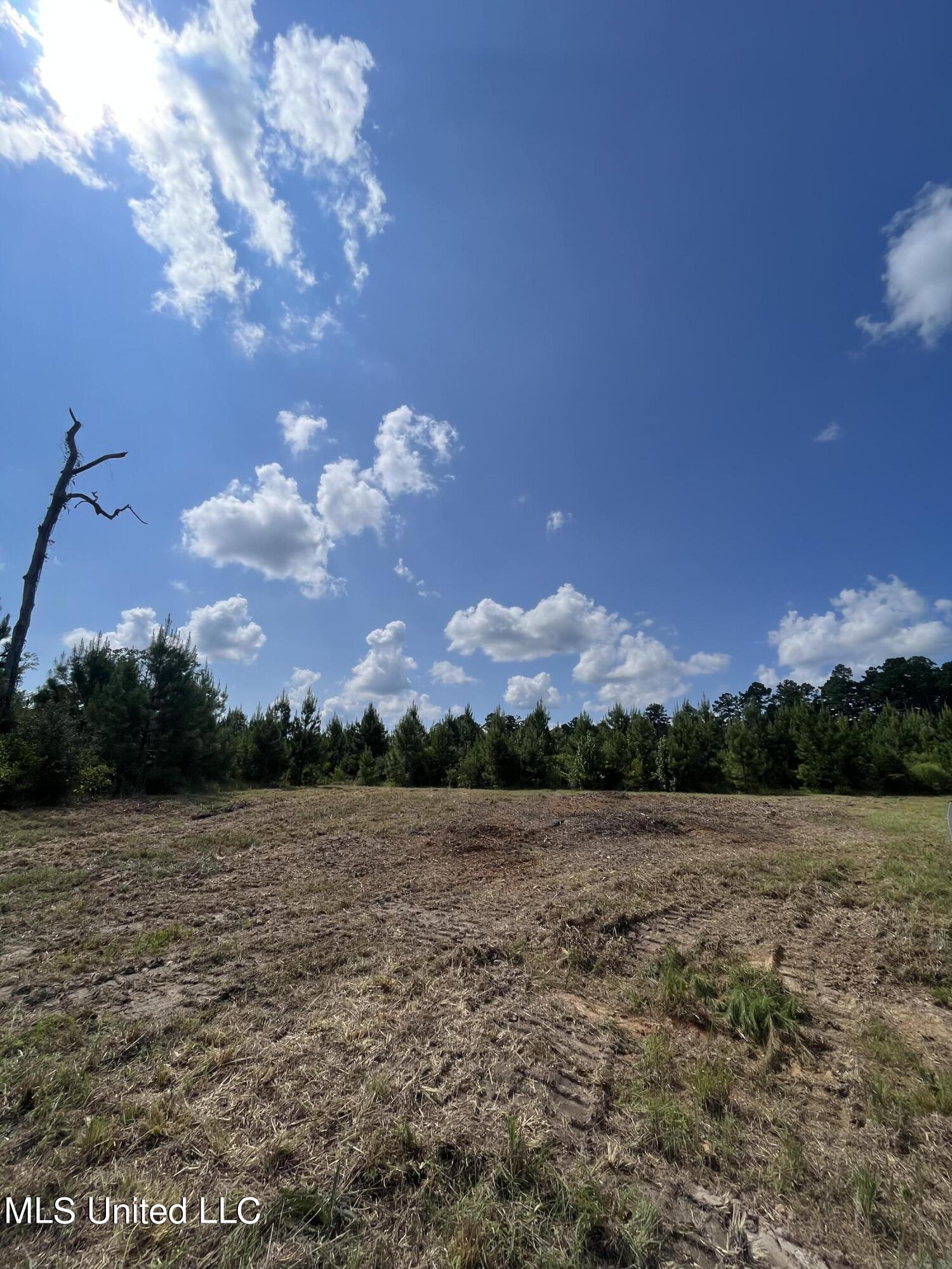 Nolan Felder Road, Magnolia, Mississippi image 3