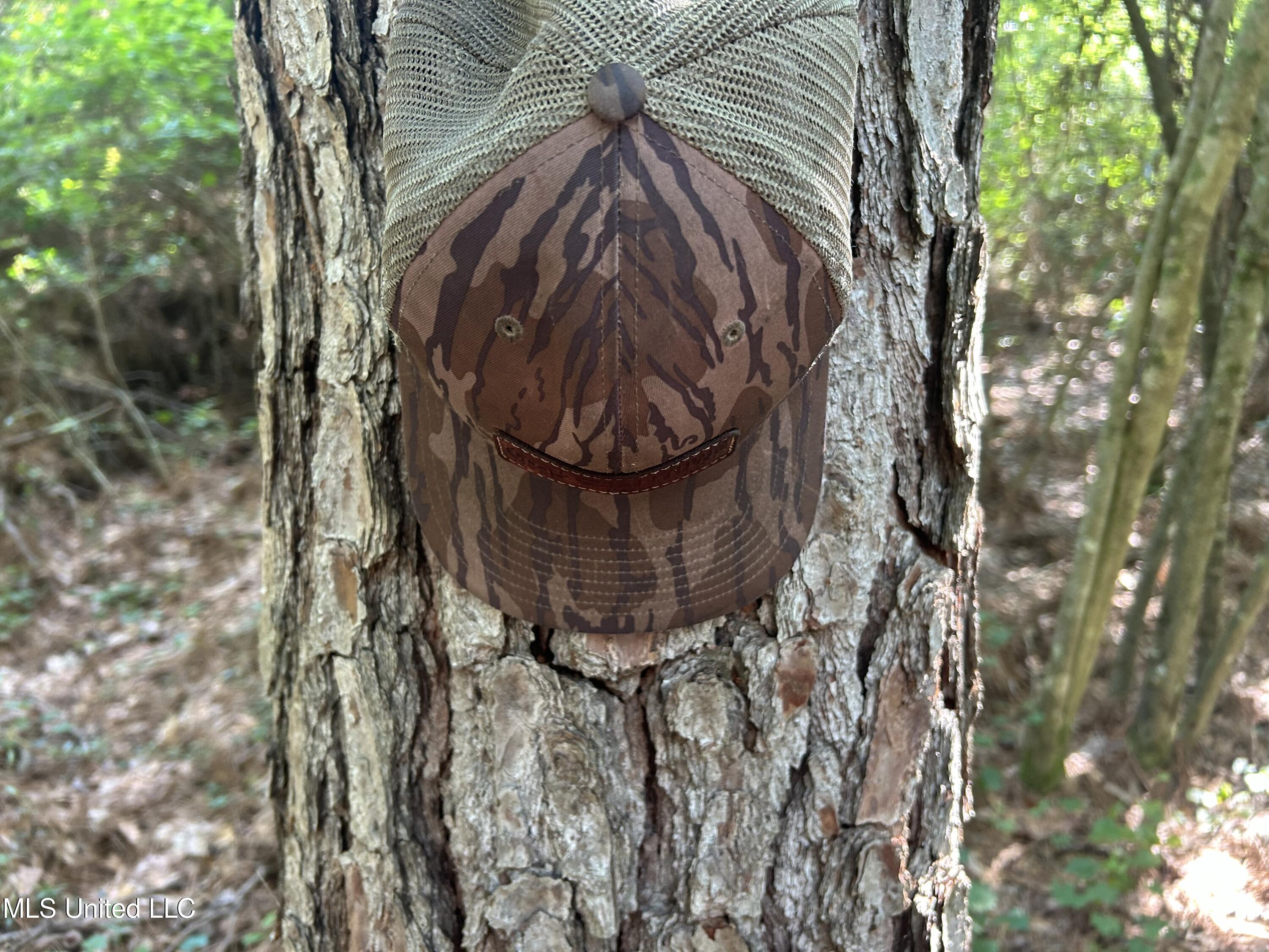 Nolan Felder Road, Magnolia, Mississippi image 25