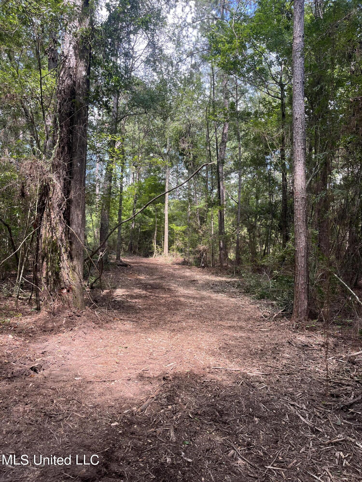 Nolan Felder Road, Magnolia, Mississippi image 2