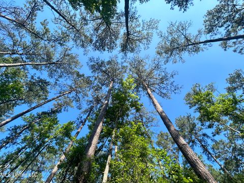 Vacant Land For Sale - Nolan Felder Road<br/> Pike County, Magnolia, MS 39652