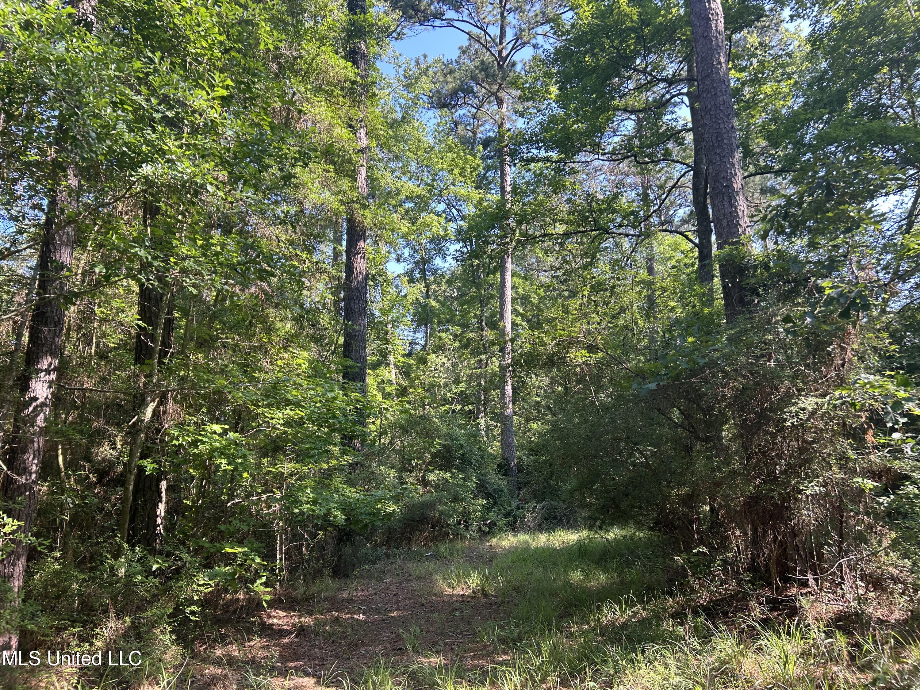 Nolan Felder Road, Magnolia, Mississippi image 16