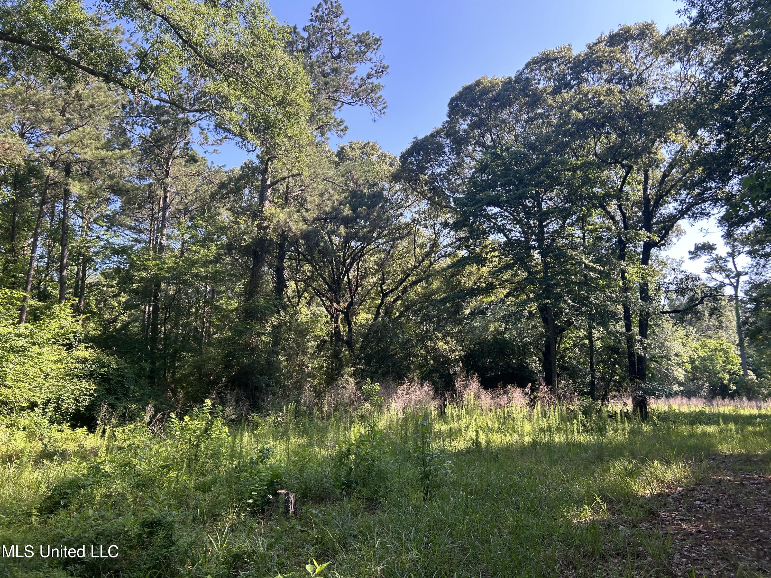 Nolan Felder Road, Magnolia, Mississippi image 18