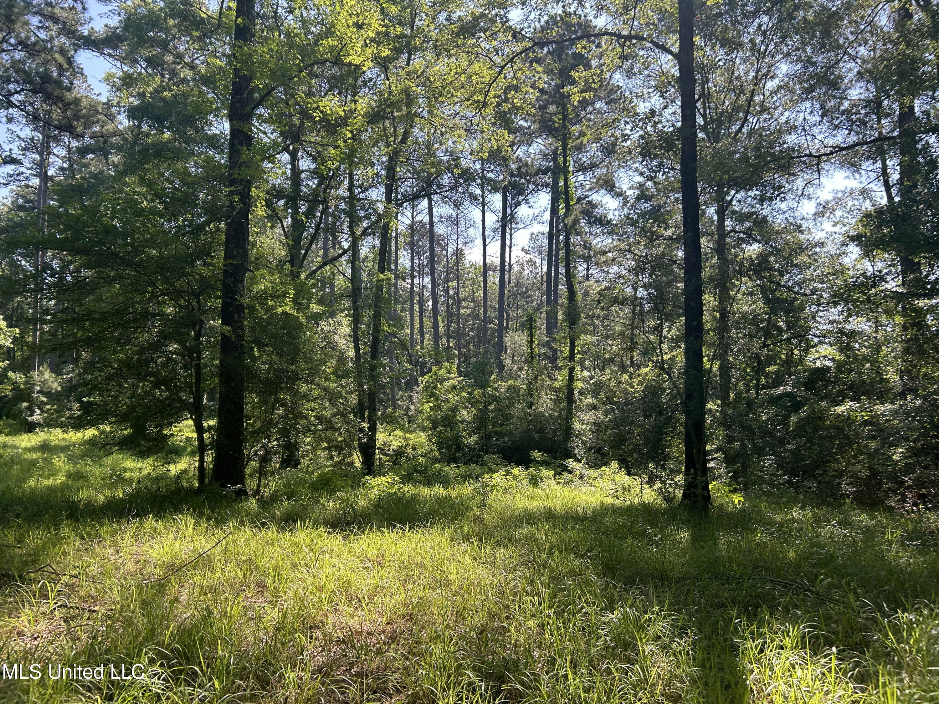 Nolan Felder Road, Magnolia, Mississippi image 19