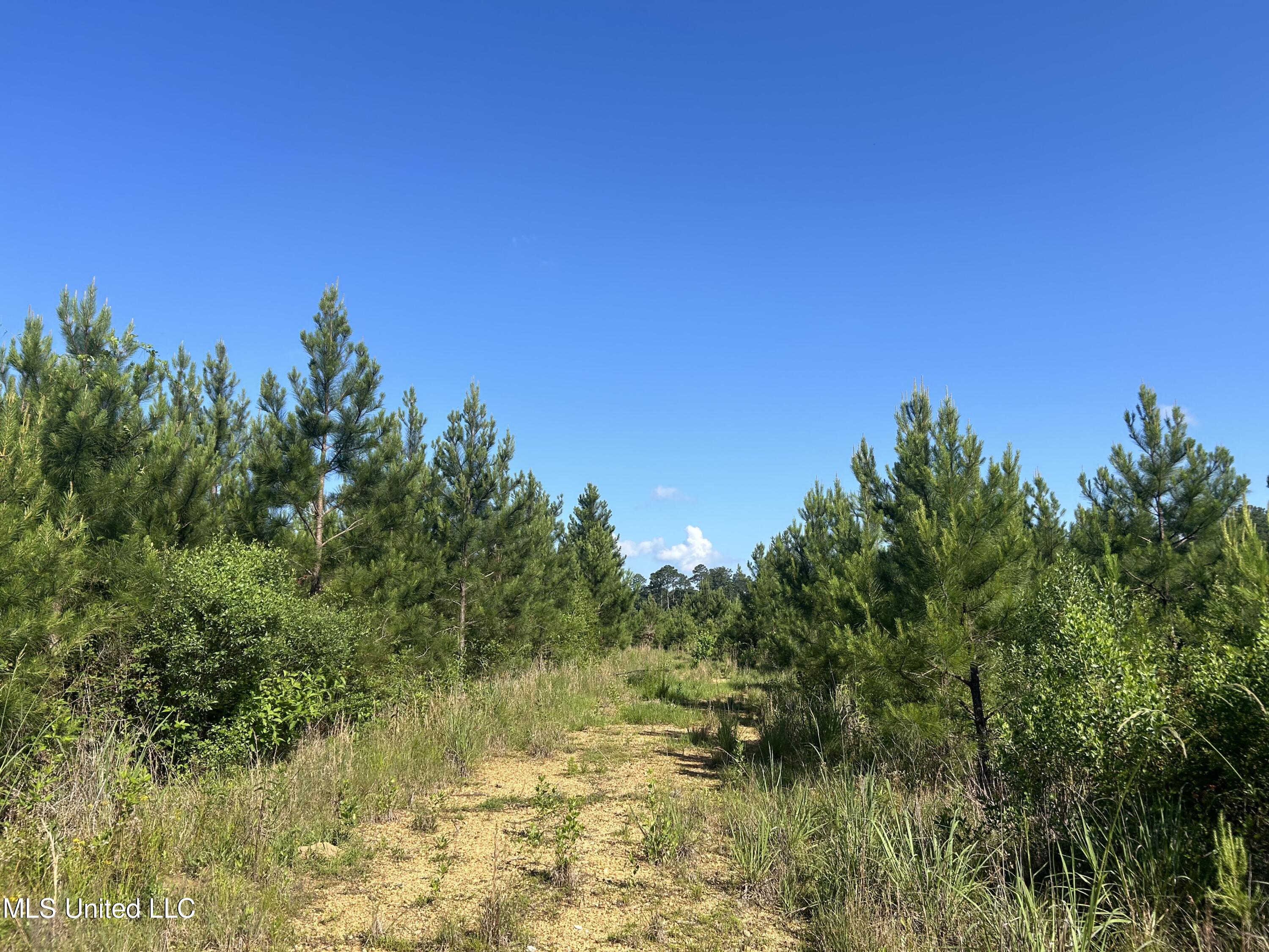 Nolan Felder Road, Magnolia, Mississippi image 10