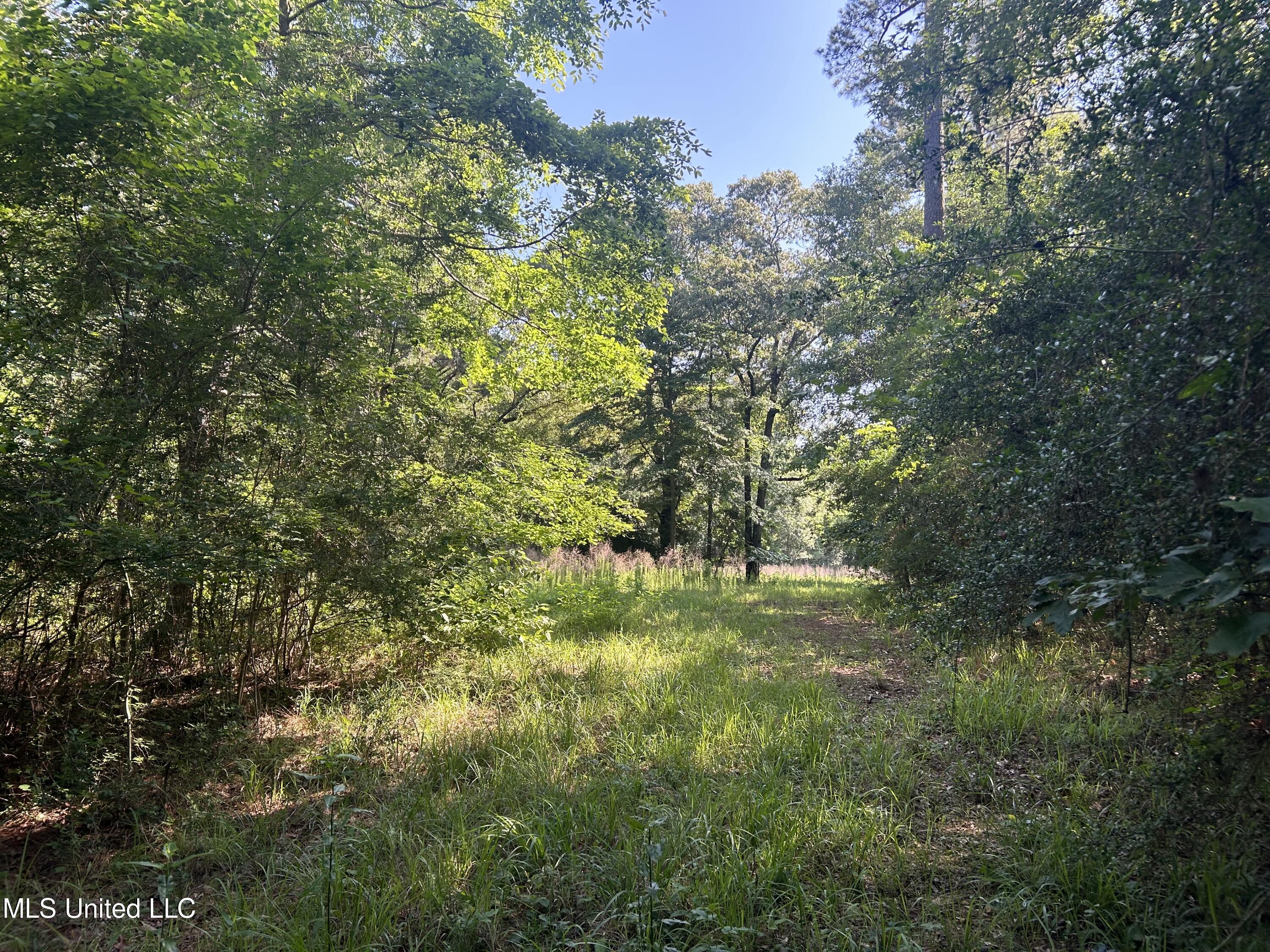 Nolan Felder Road, Magnolia, Mississippi image 17