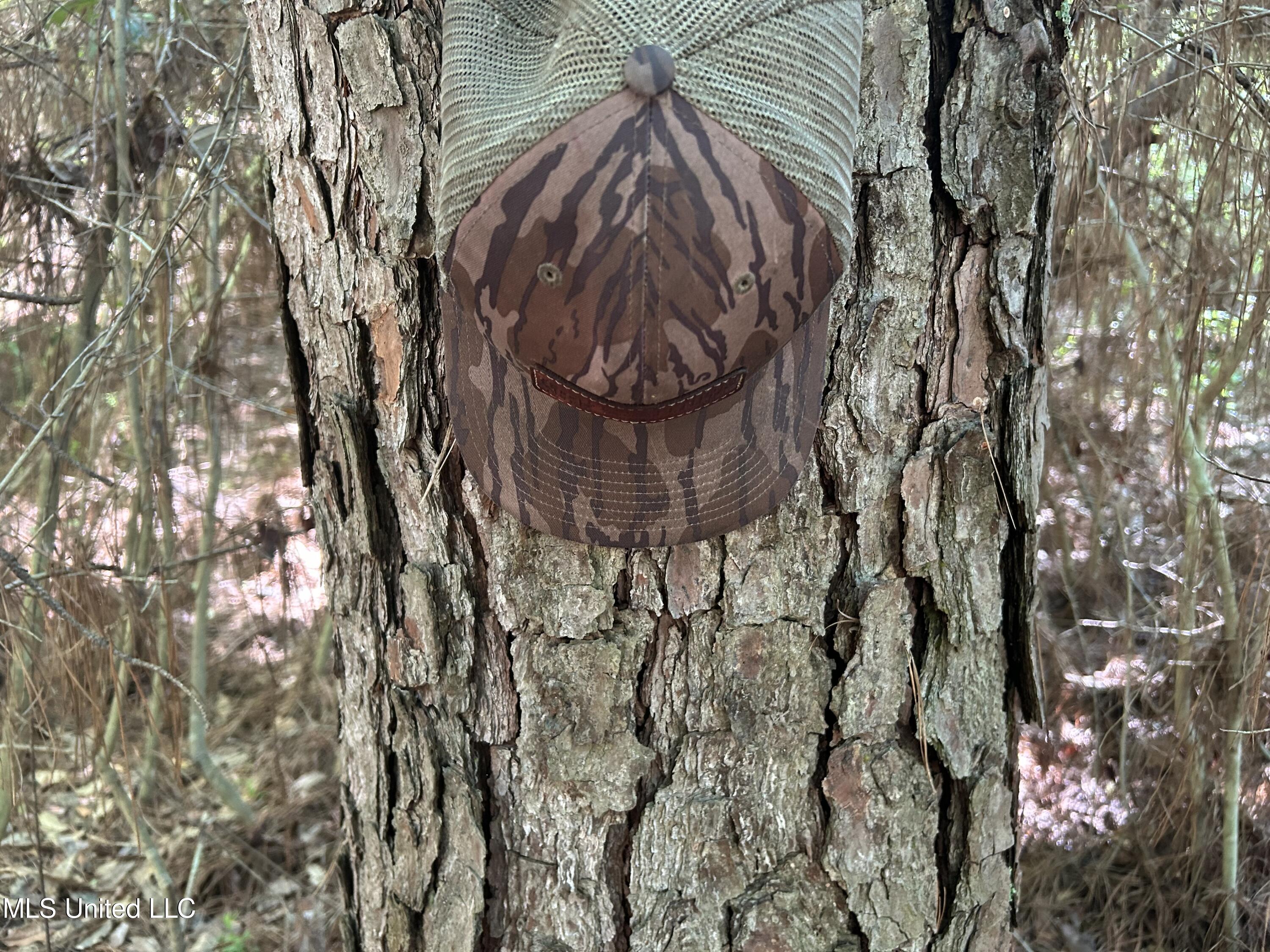 Nolan Felder Road, Magnolia, Mississippi image 23