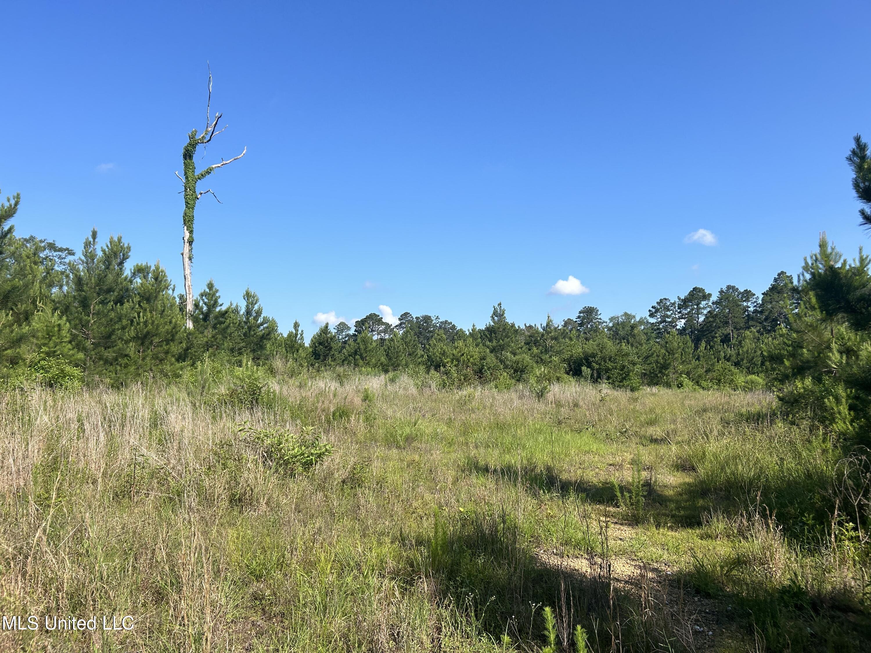 Nolan Felder Road, Magnolia, Mississippi image 11