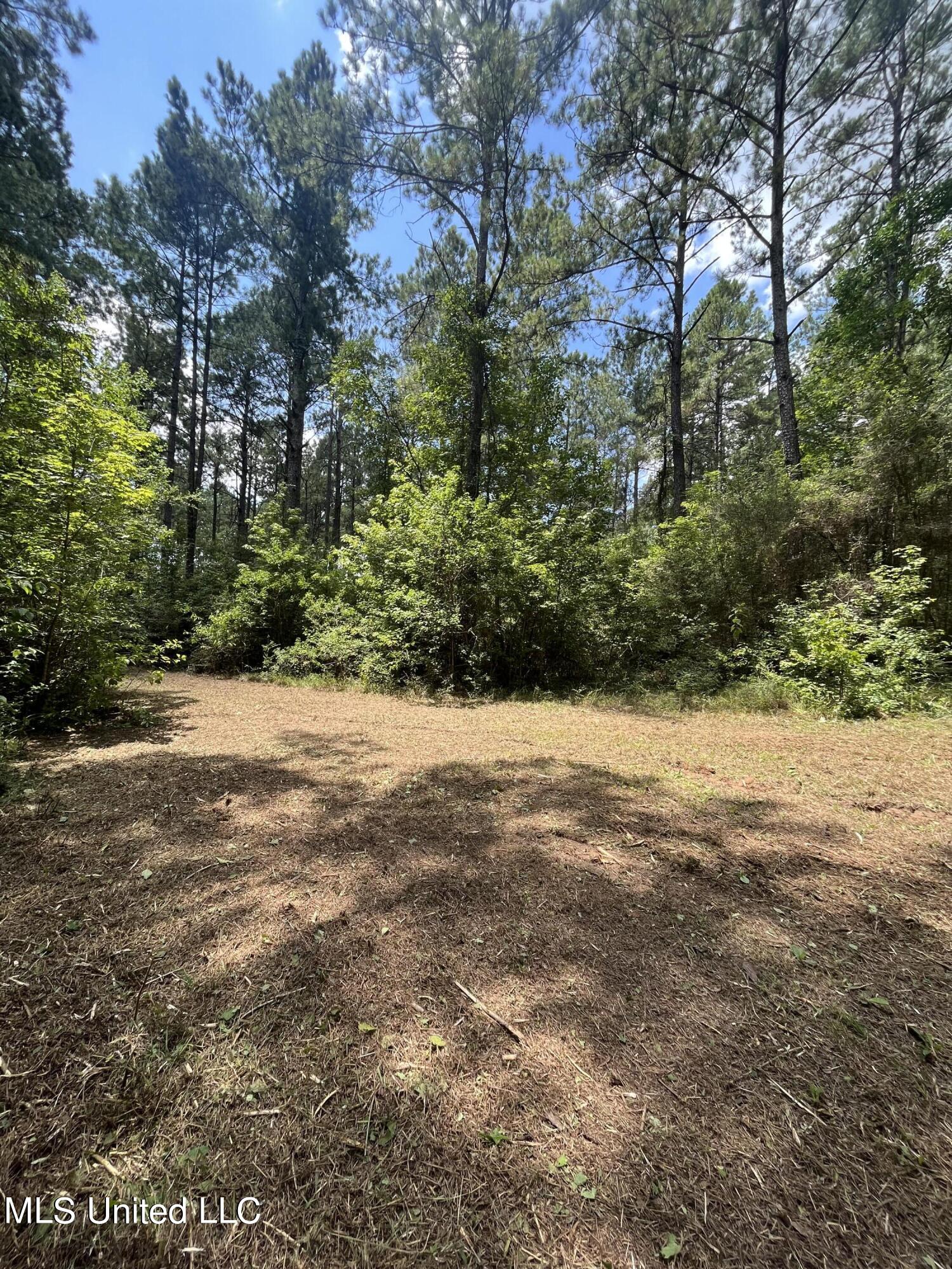 Nolan Felder Road, Magnolia, Mississippi image 5