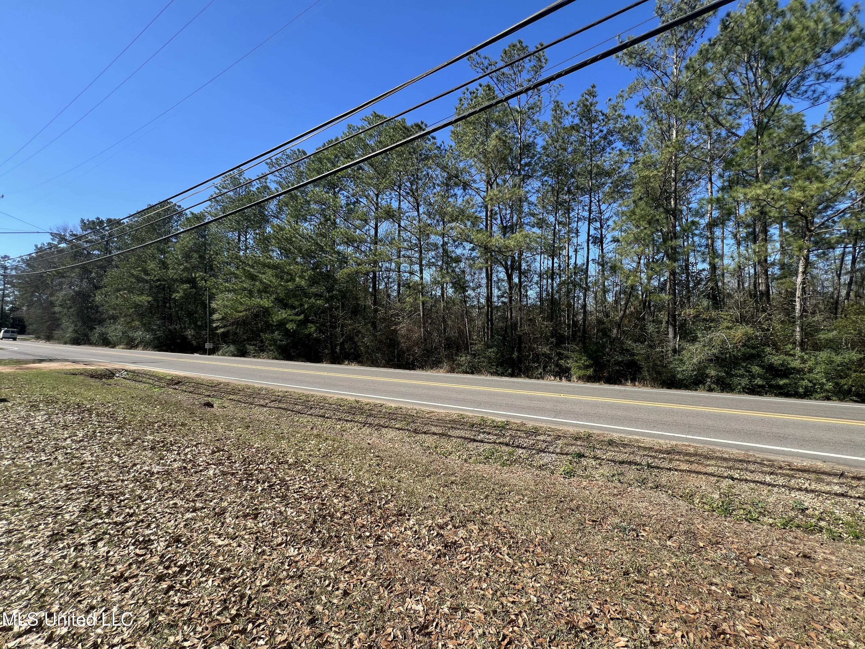 11.25 Ac Highway 26, Lucedale, Mississippi image 3