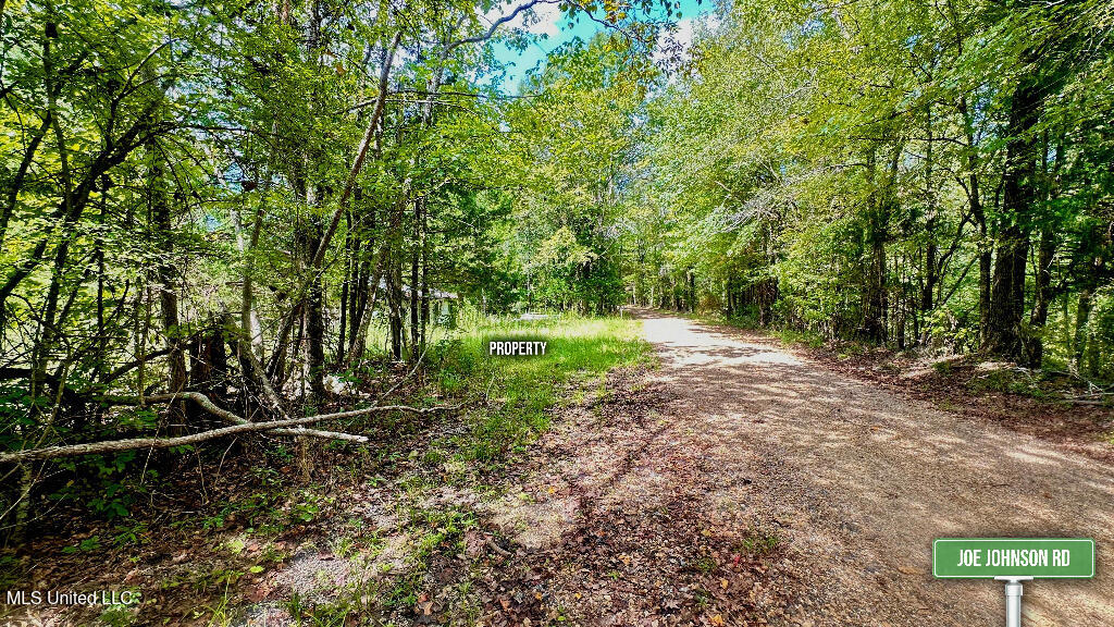 1297 Joe Johnson Road, Bolton, Mississippi image 9