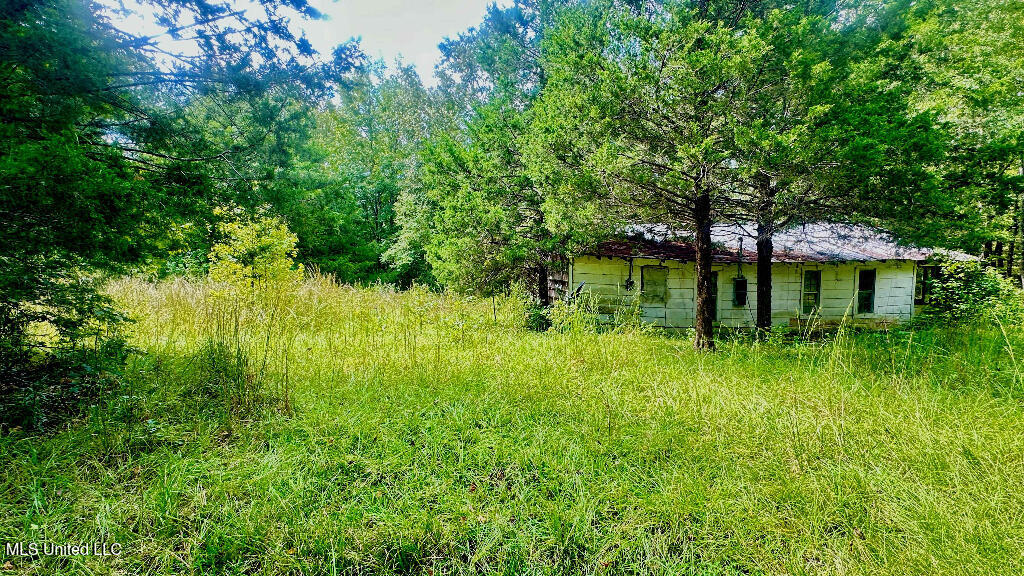 1297 Joe Johnson Road, Bolton, Mississippi image 16