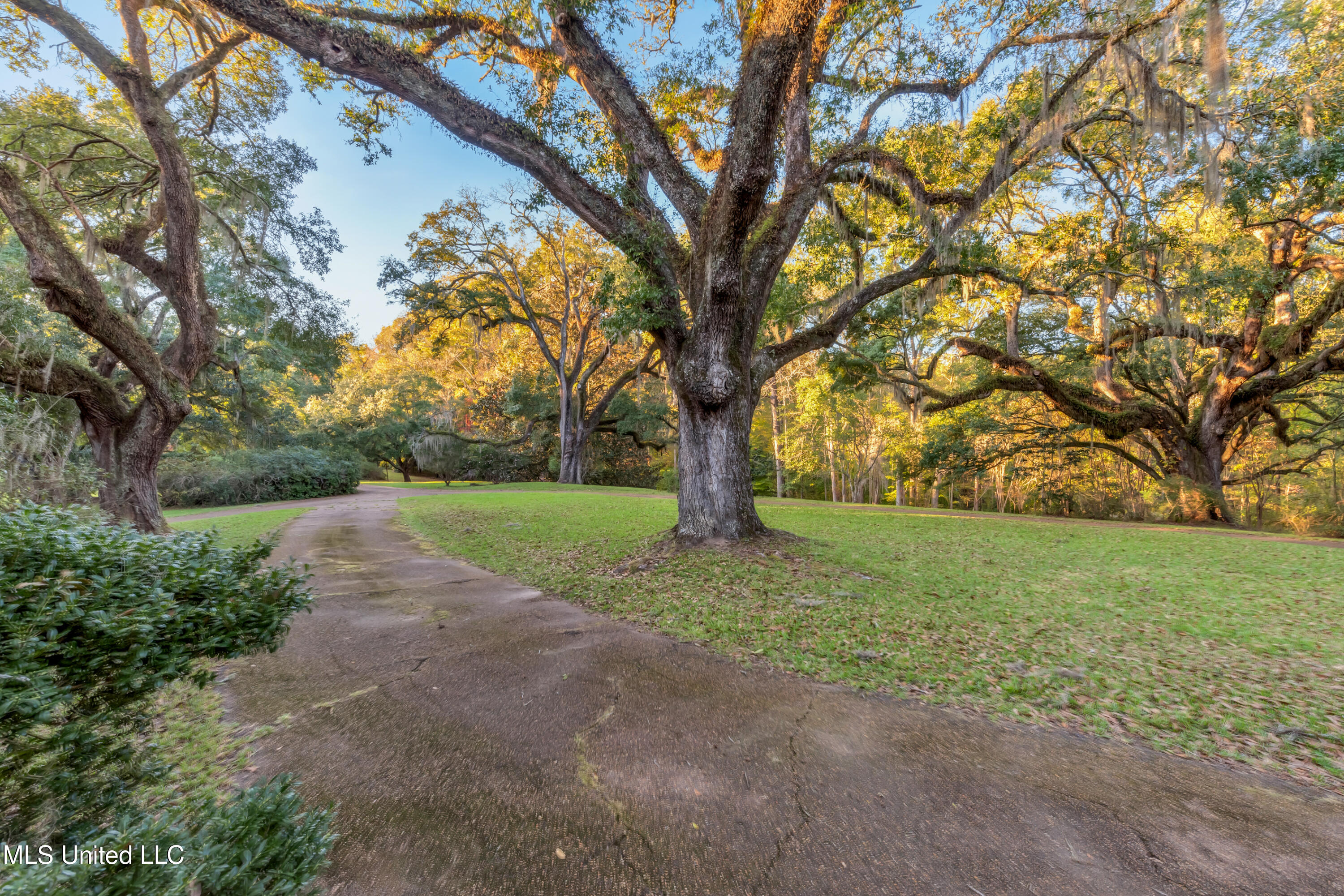 109 Carmel Church Road, Natchez, Mississippi image 40