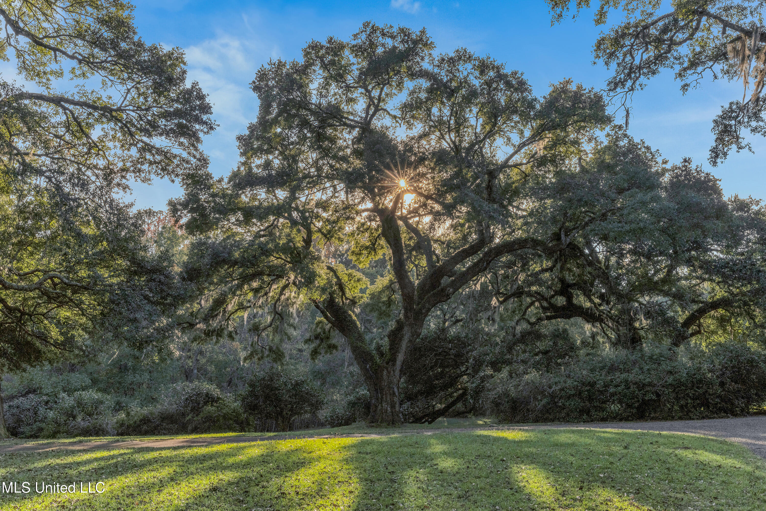 109 Carmel Church Road, Natchez, Mississippi image 9