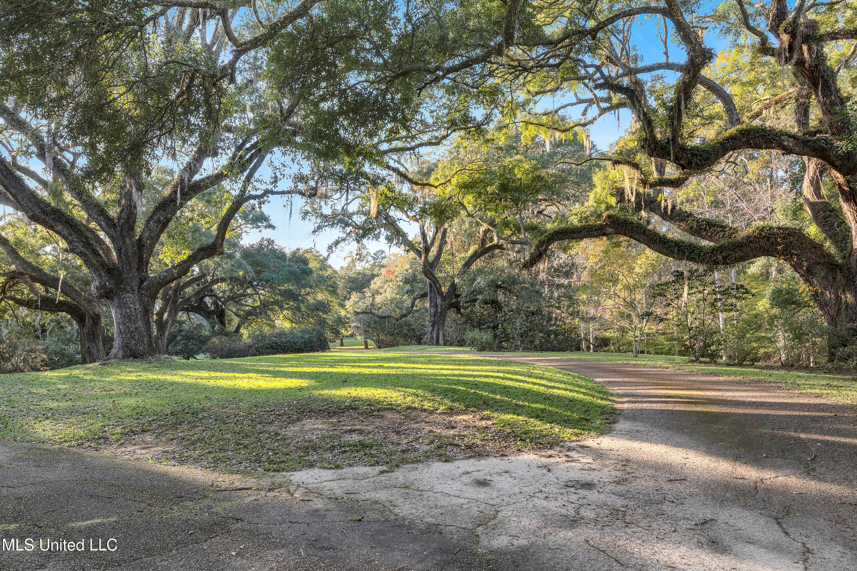 109 Carmel Church Road, Natchez, Mississippi image 37