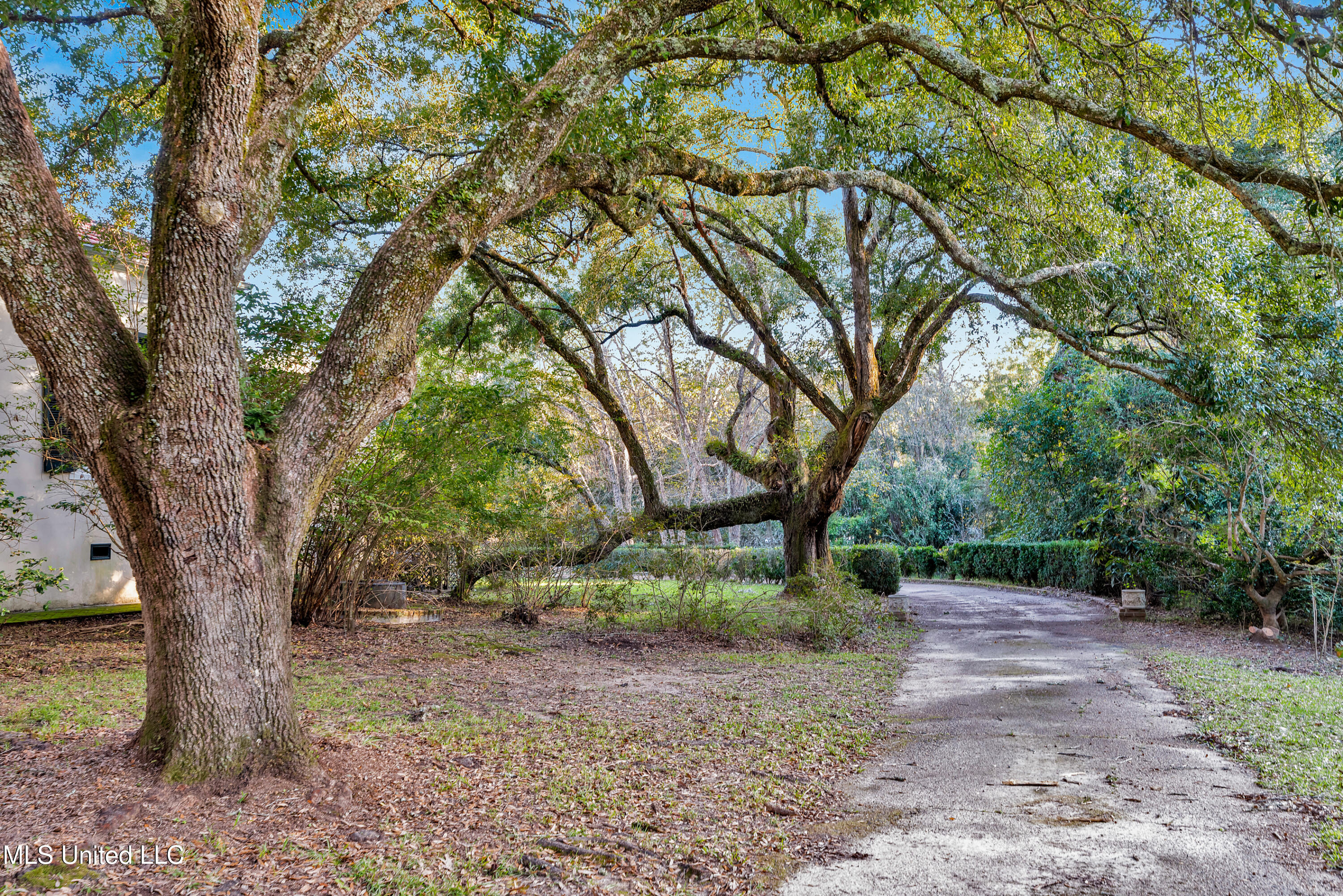 109 Carmel Church Road, Natchez, Mississippi image 38