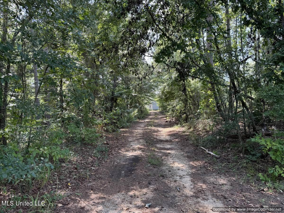 816e NW Denton Trail, Brookhaven, Mississippi image 17