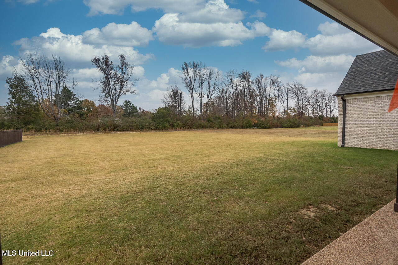 5102 Reserve Way, Hernando, Mississippi image 32