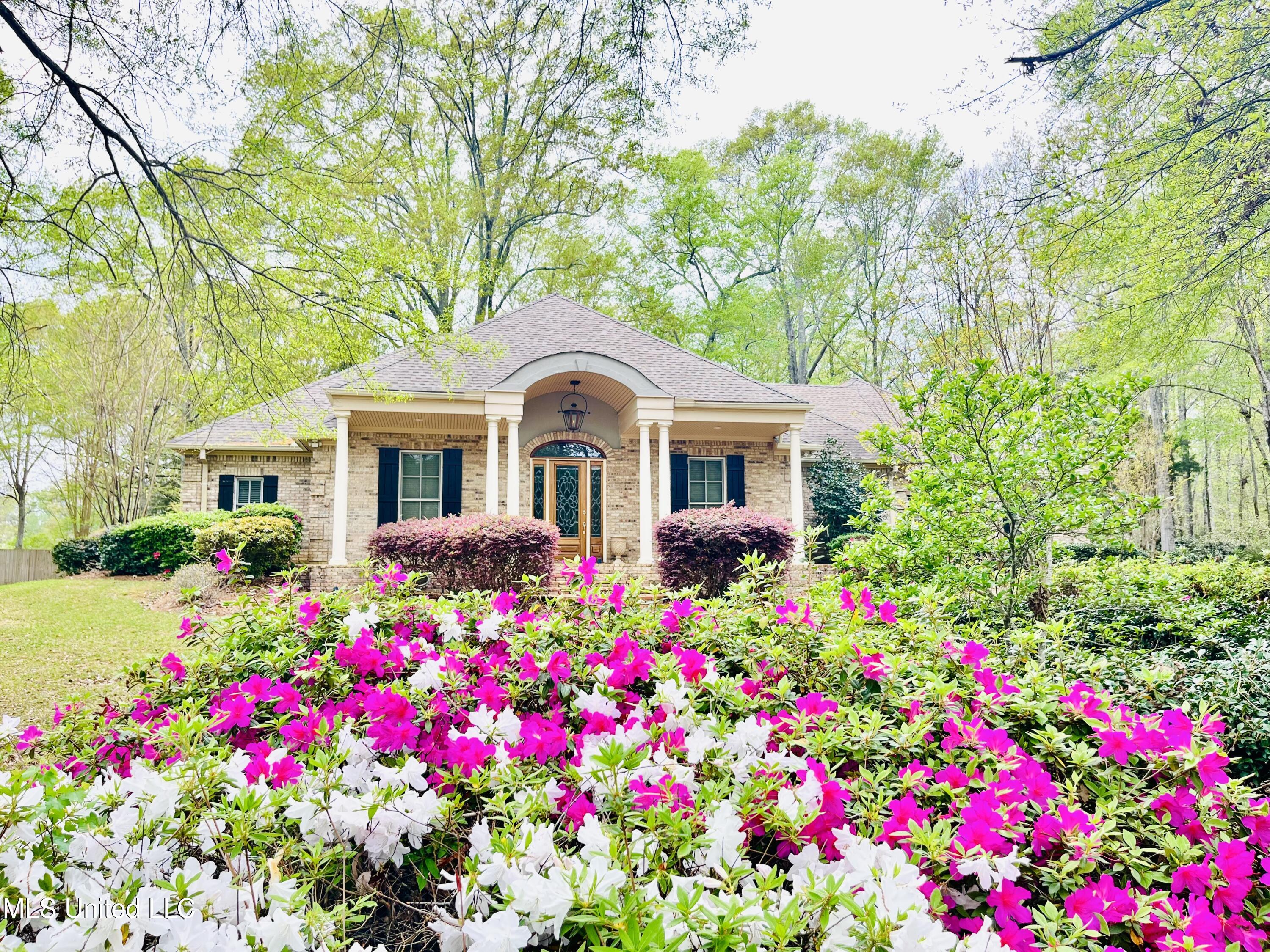 111 Magnolia Springs Boulevard, Florence, Mississippi image 3
