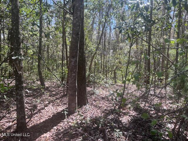 Lot 21 Hickory Drive, Ocean Springs, Mississippi image 7