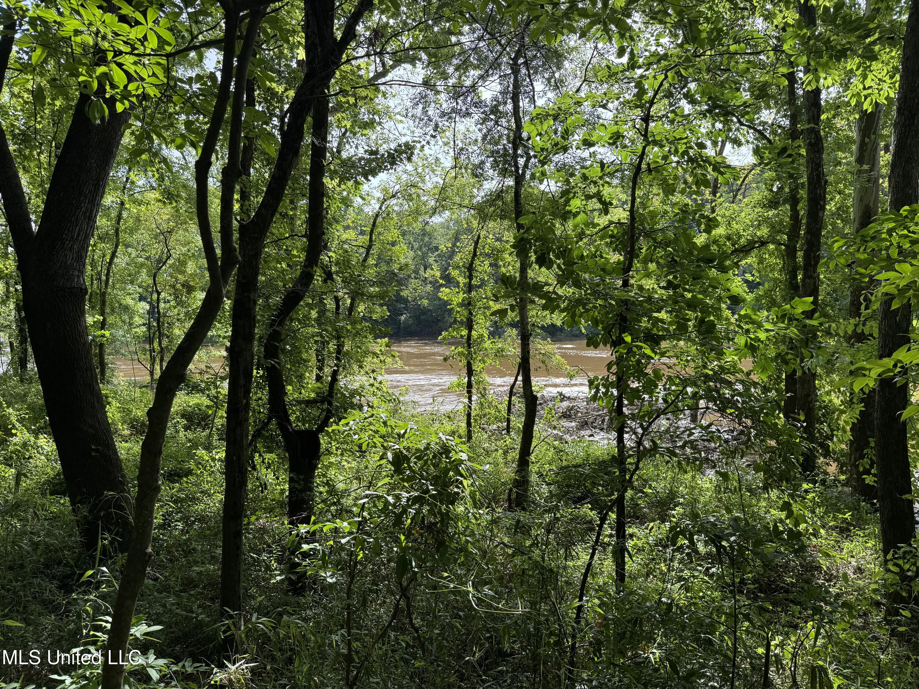 2550 Moncure Road, Terry, Mississippi image 50