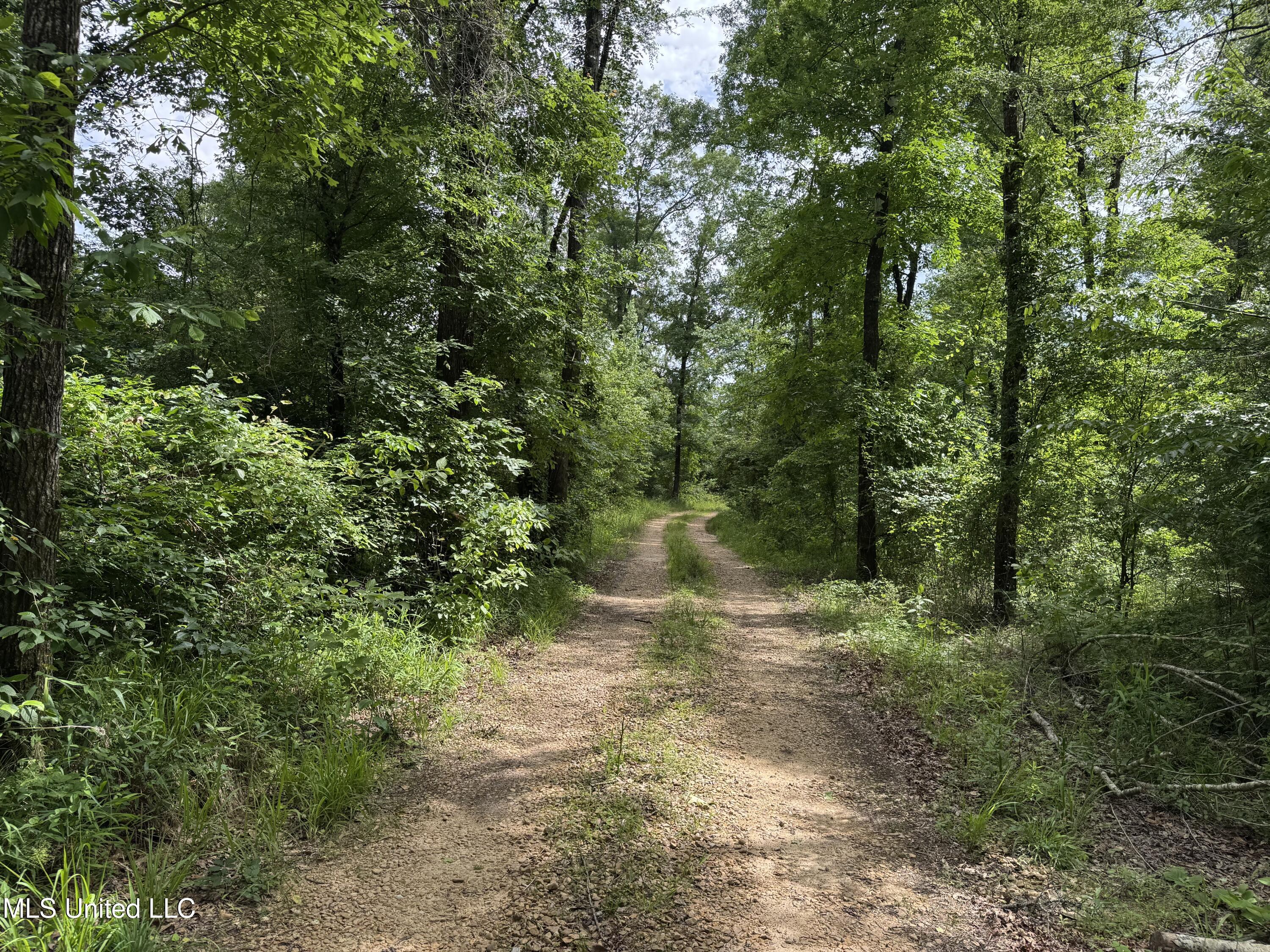 2550 Moncure Road, Terry, Mississippi image 6