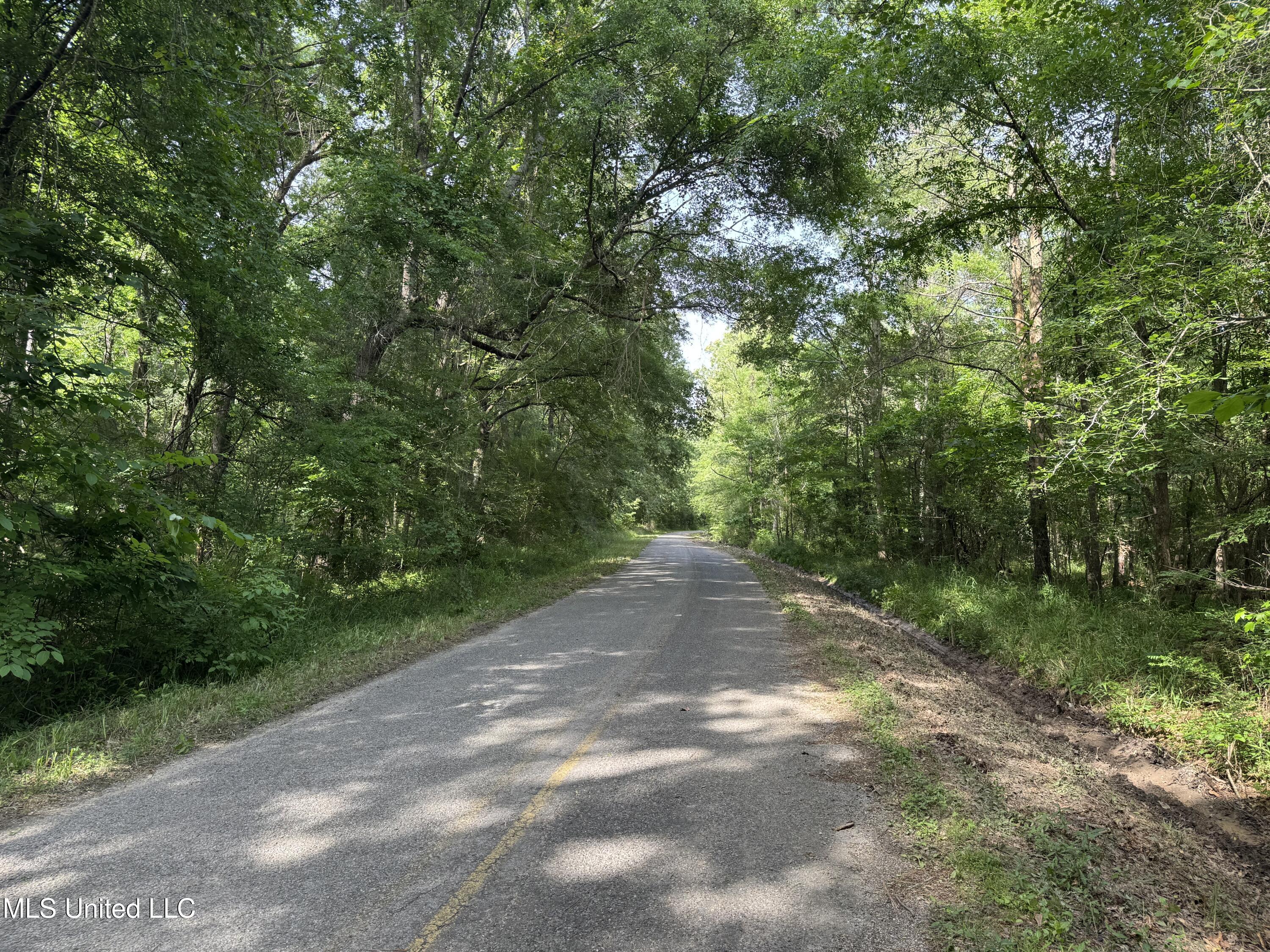 2550 Moncure Road, Terry, Mississippi image 38