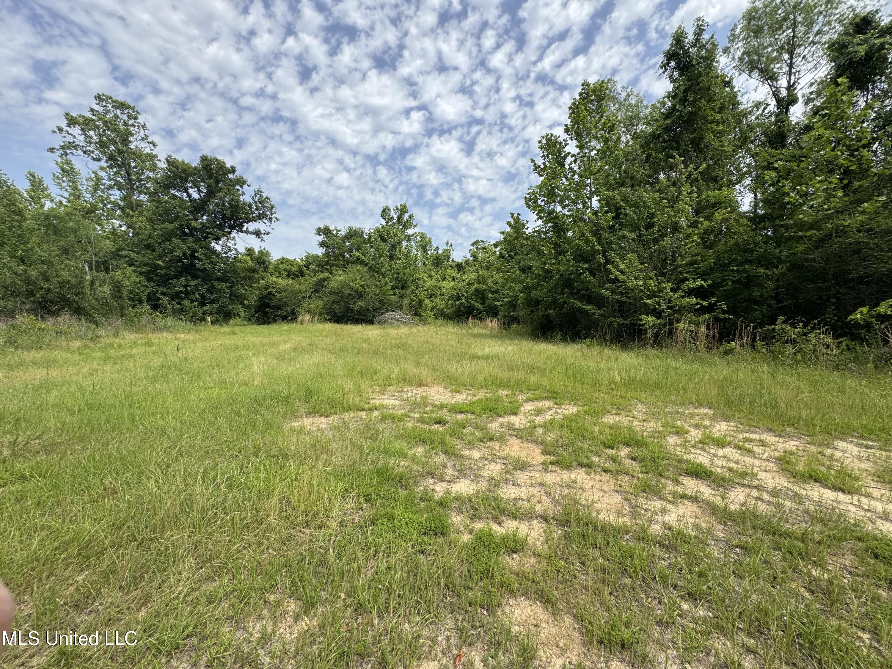 2550 Moncure Road, Terry, Mississippi image 7