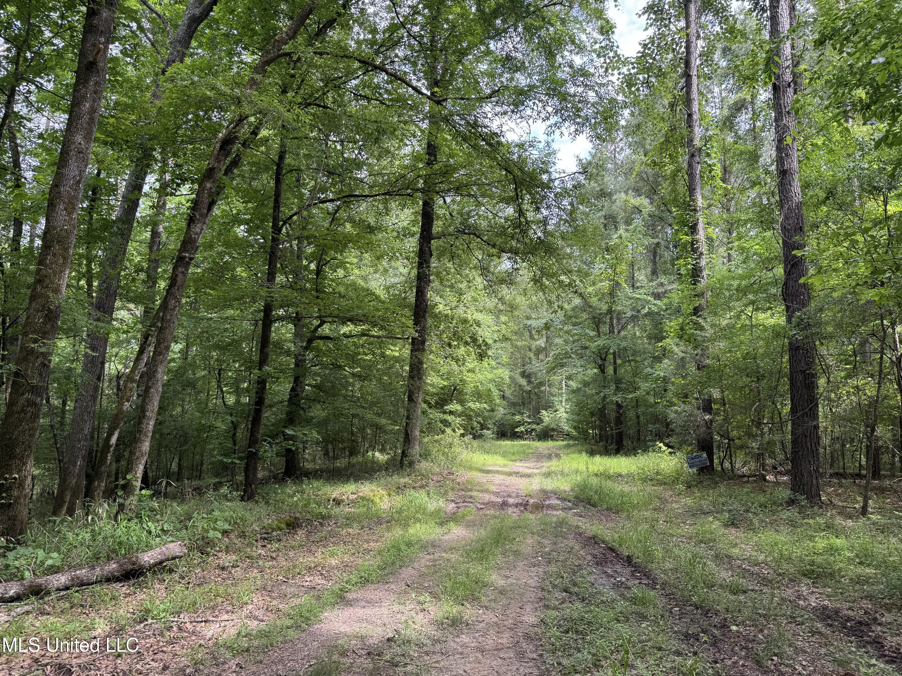 2550 Moncure Road, Terry, Mississippi image 9
