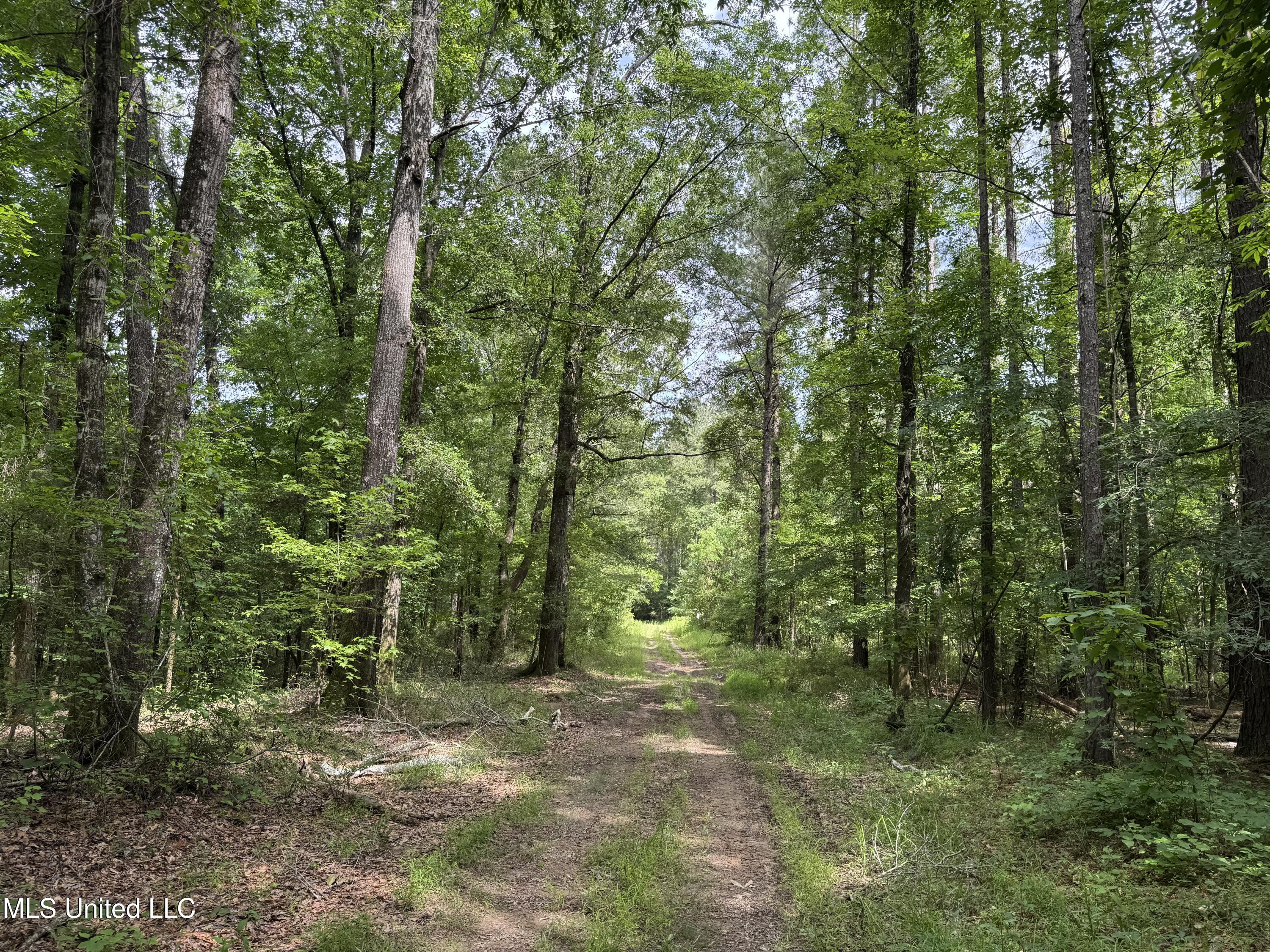 2550 Moncure Road, Terry, Mississippi image 10