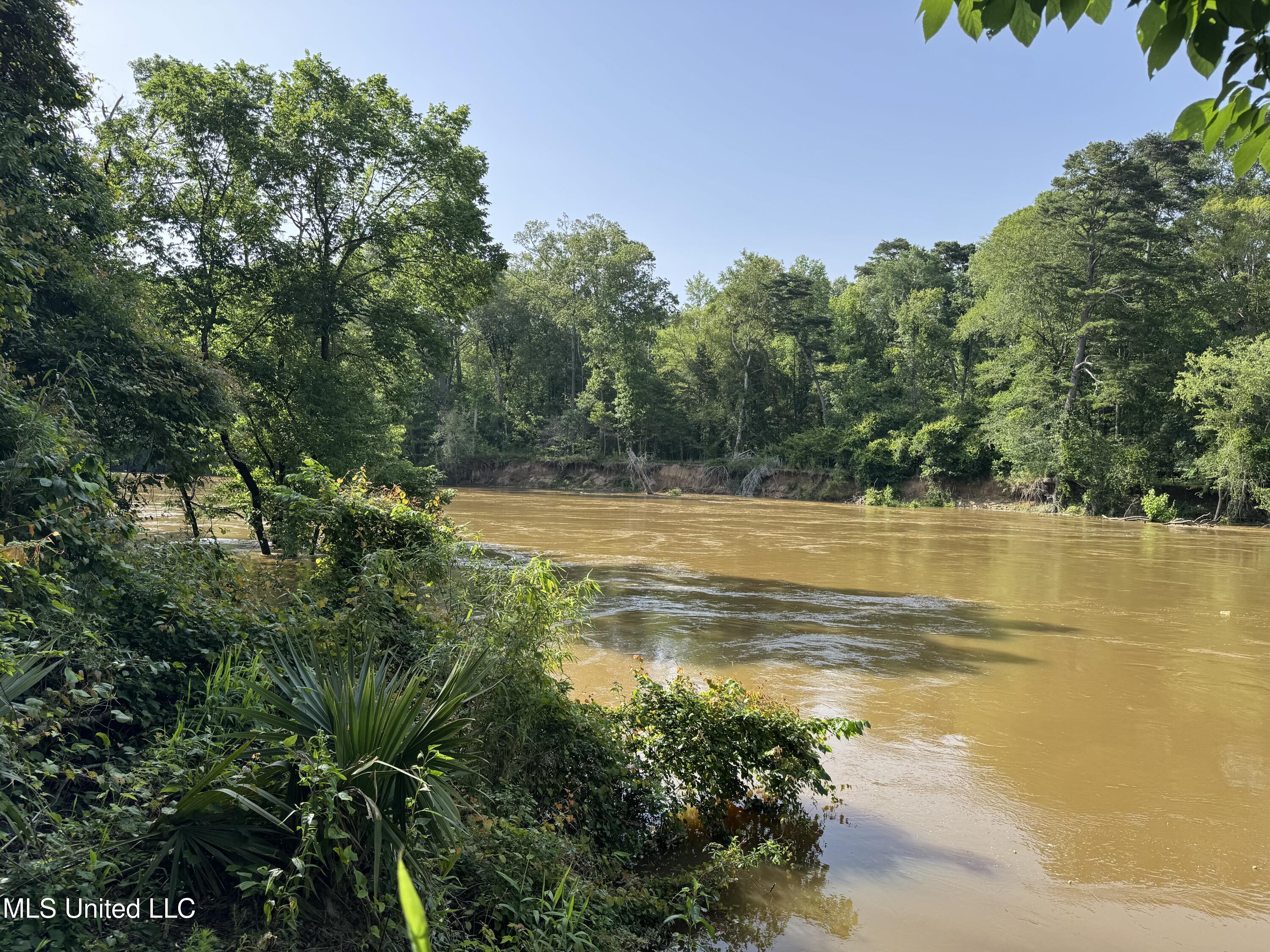 2550 Moncure Road, Terry, Mississippi image 47