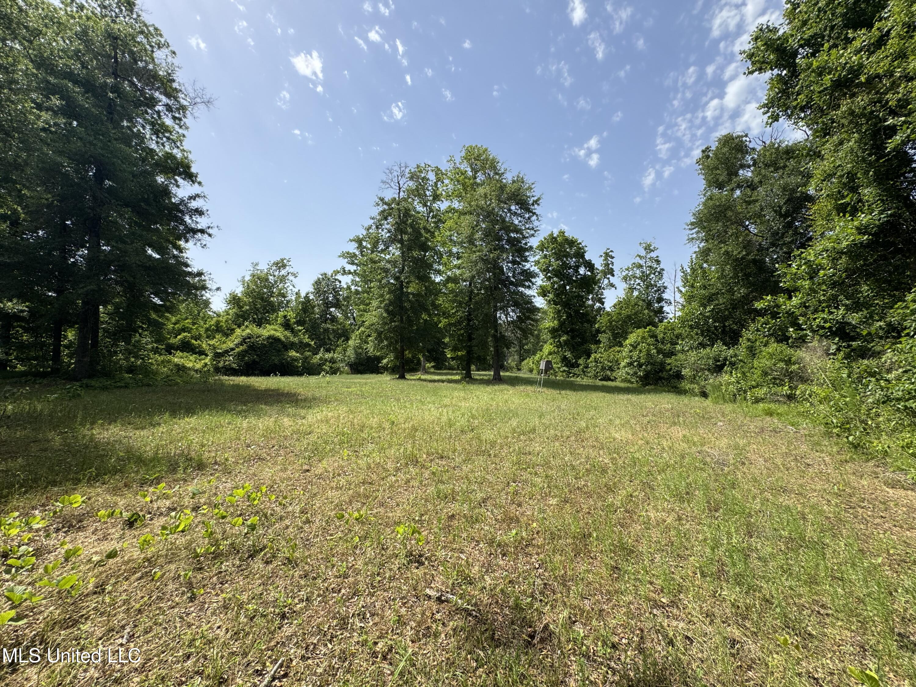 2550 Moncure Road, Terry, Mississippi image 13