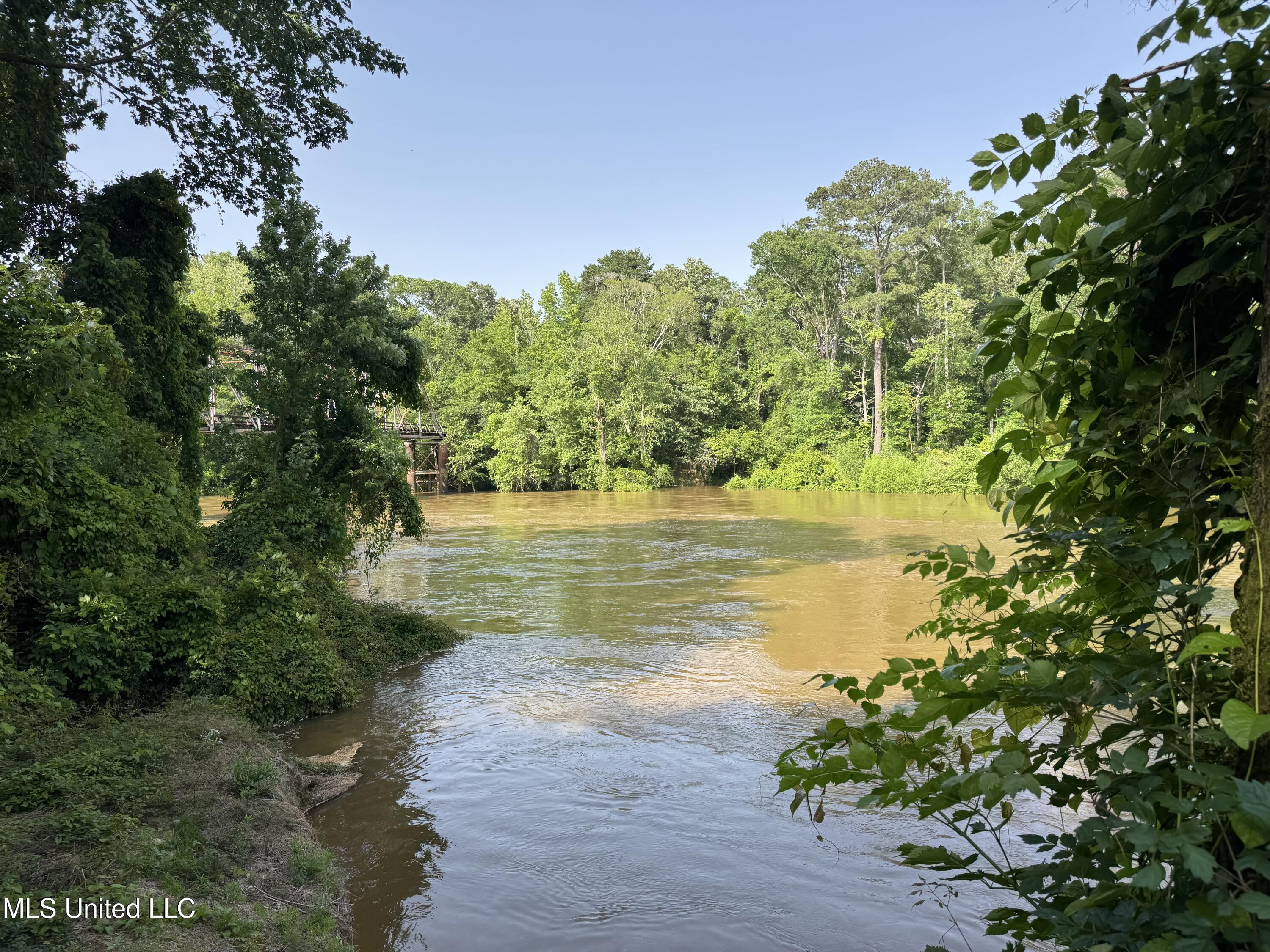 2550 Moncure Road, Terry, Mississippi image 45