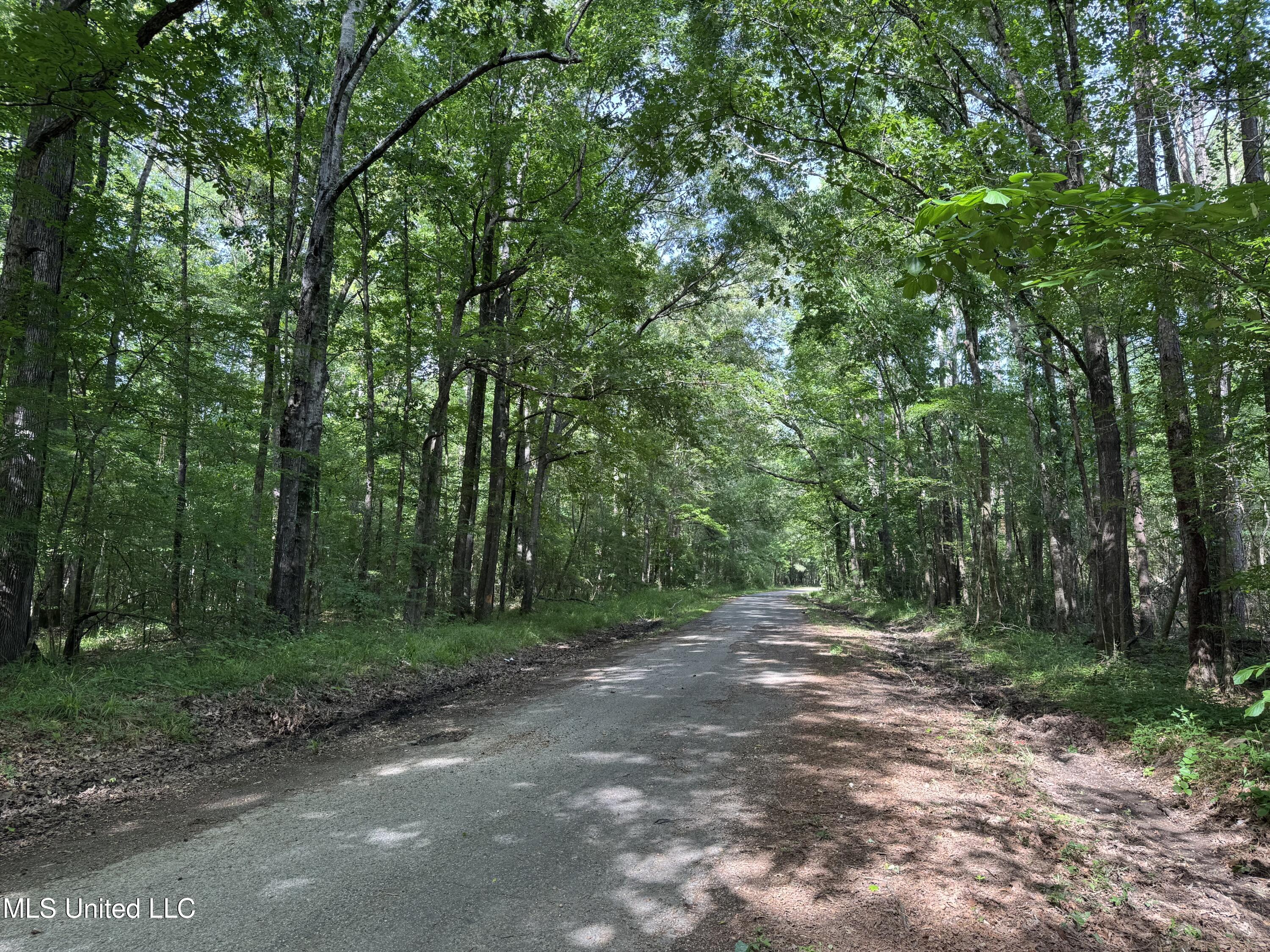 2550 Moncure Road, Terry, Mississippi image 39