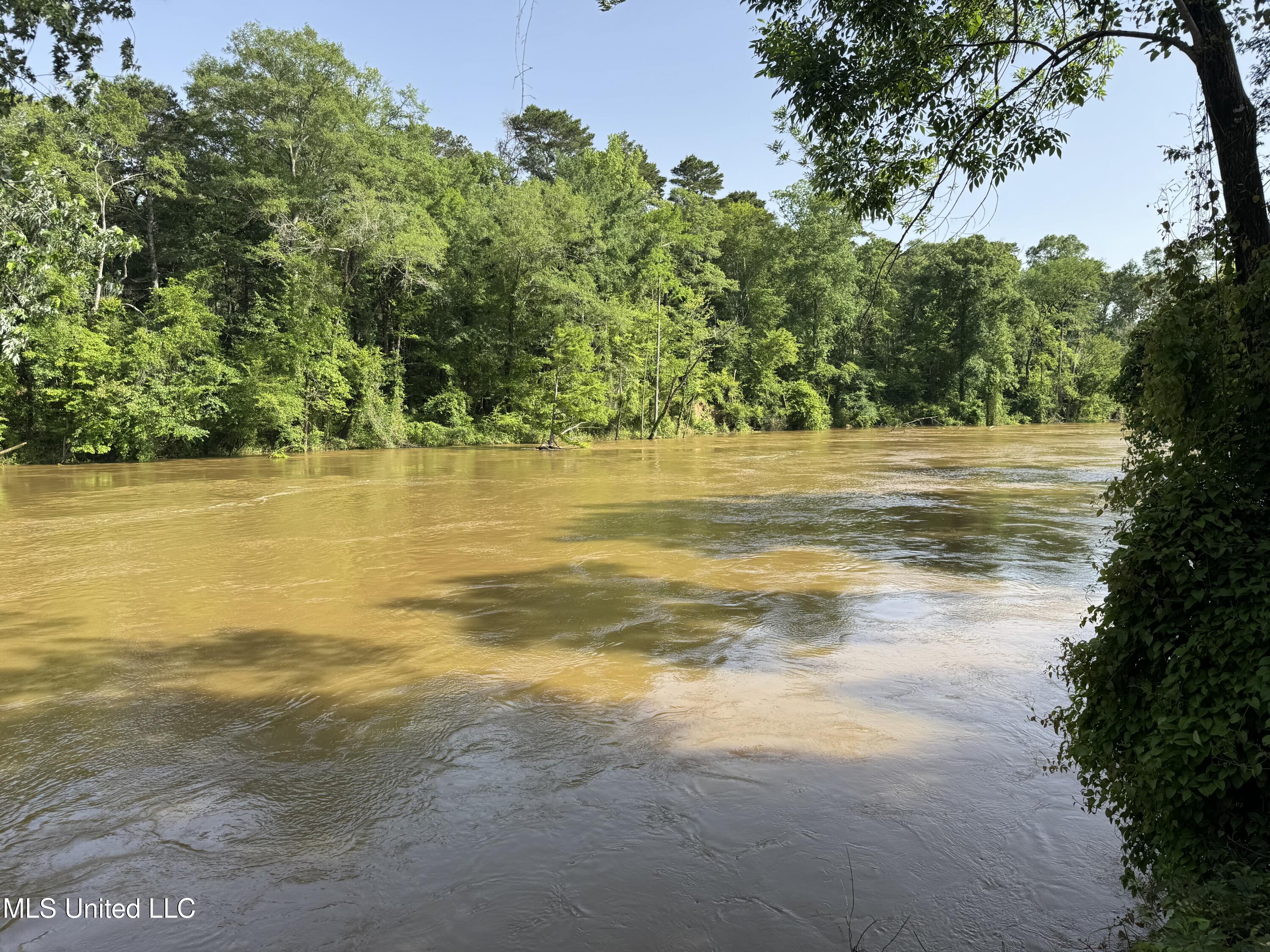 2550 Moncure Road, Terry, Mississippi image 44