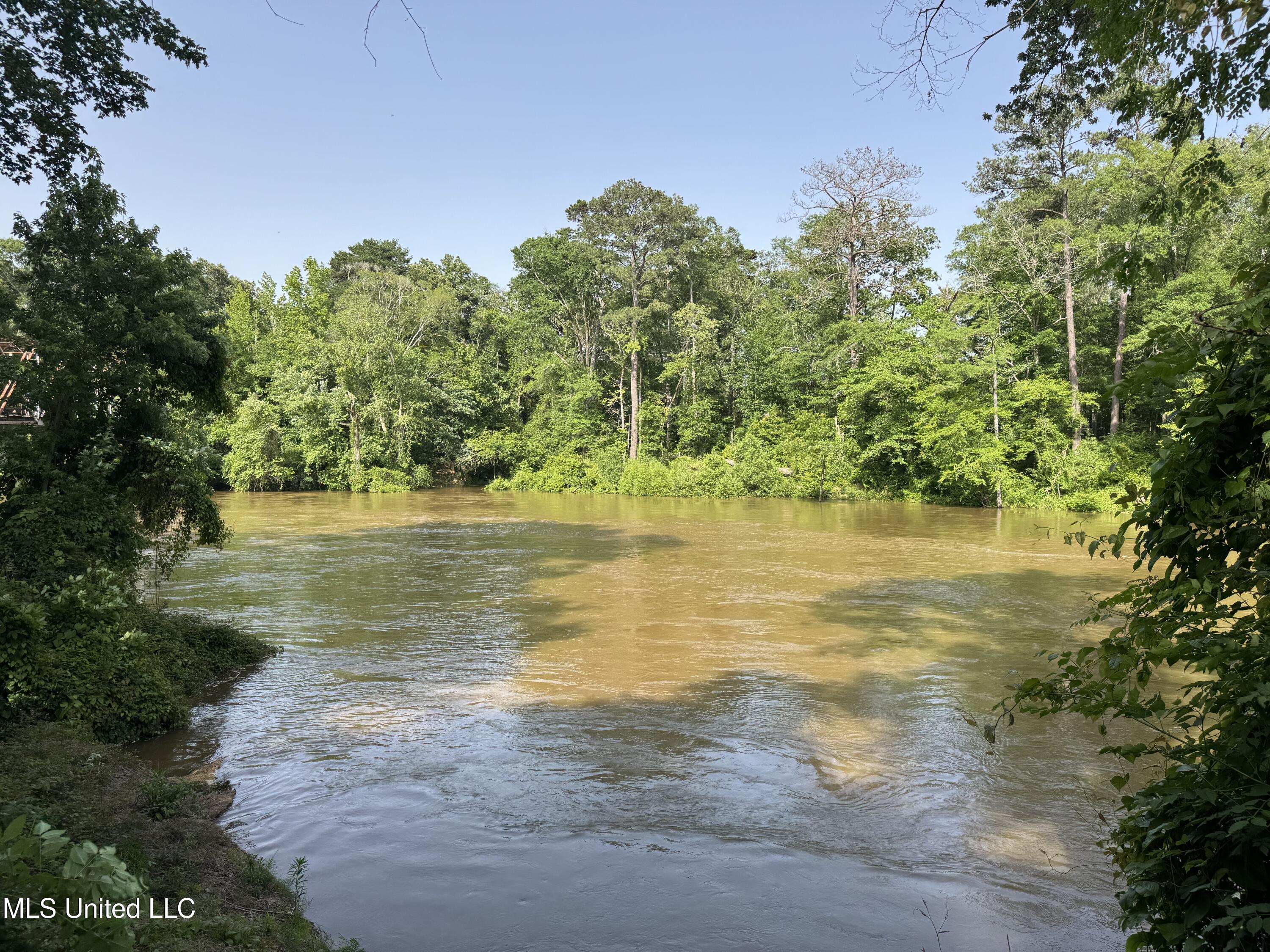 2550 Moncure Road, Terry, Mississippi image 43