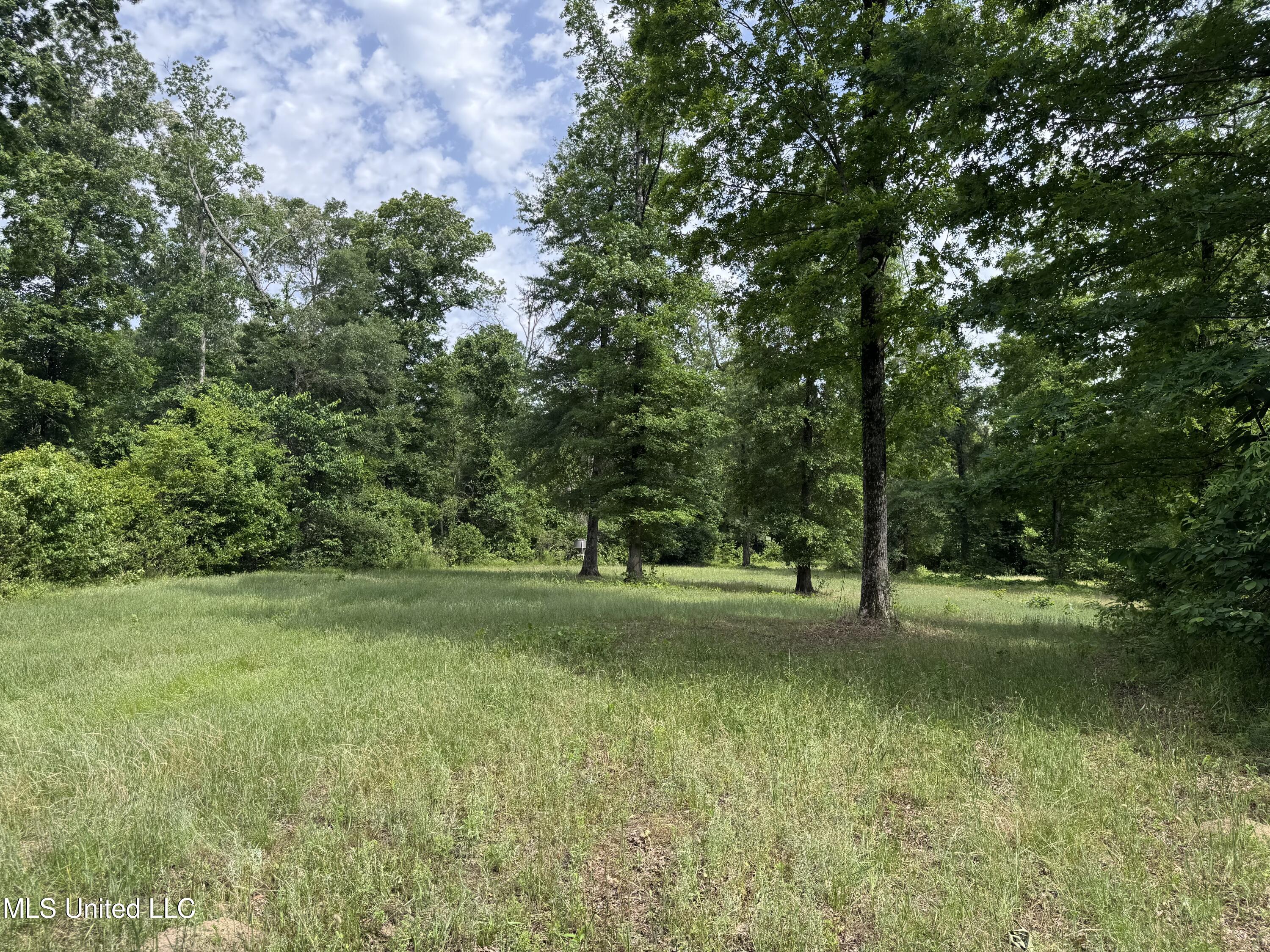 2550 Moncure Road, Terry, Mississippi image 15