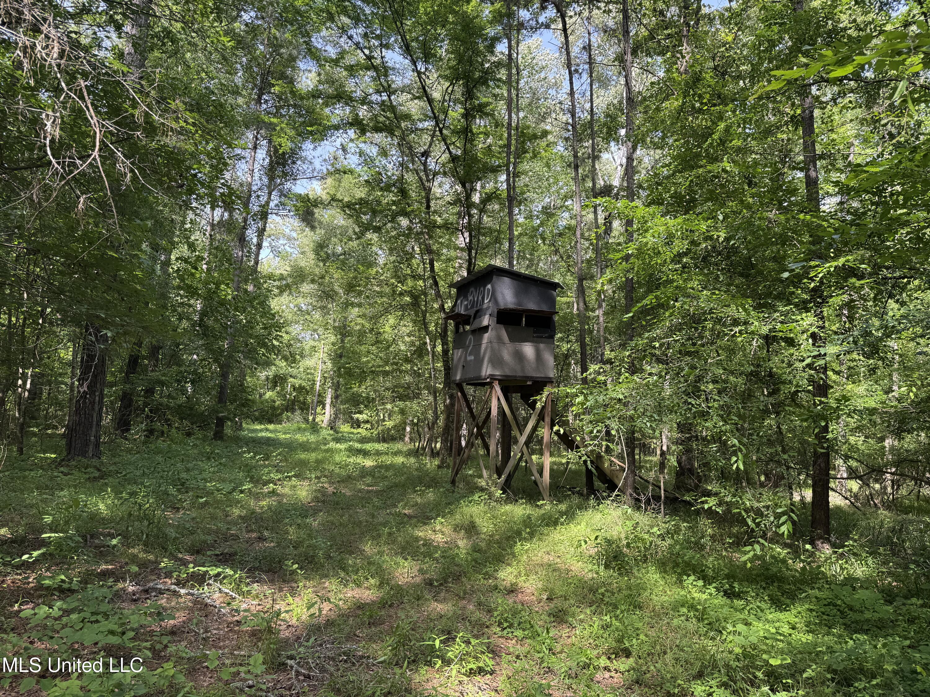2550 Moncure Road, Terry, Mississippi image 1