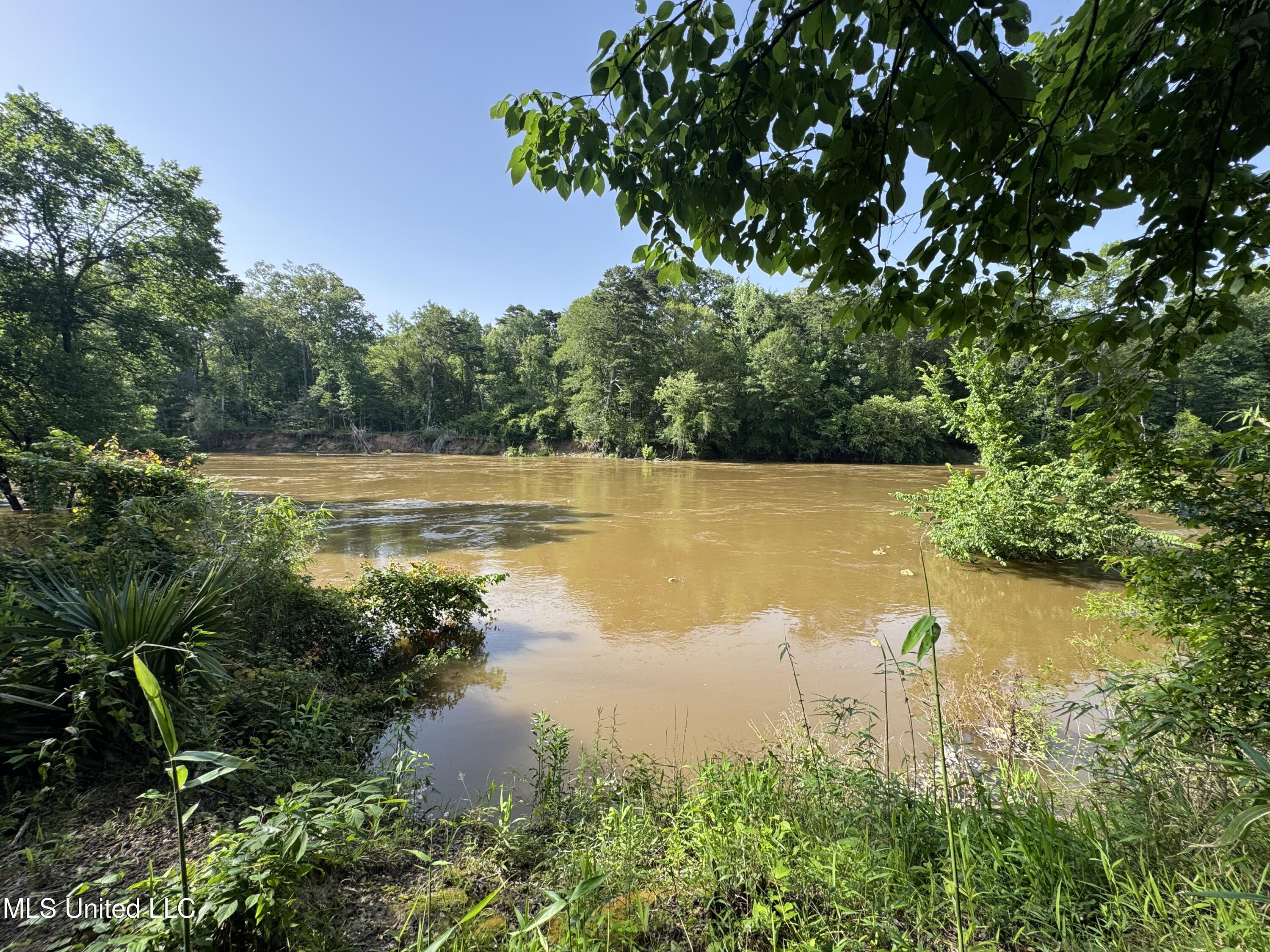 2550 Moncure Road, Terry, Mississippi image 46