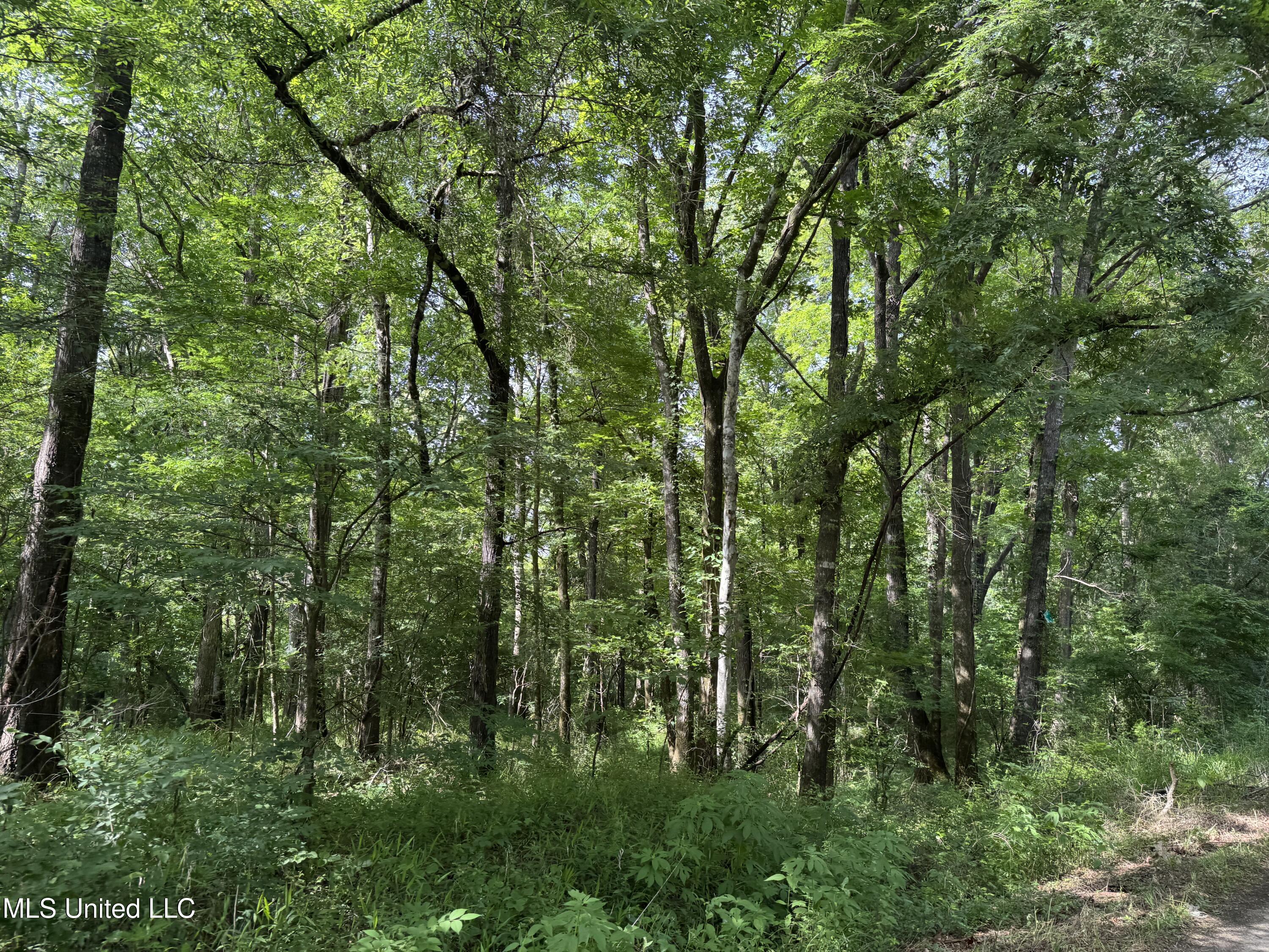 2550 Moncure Road, Terry, Mississippi image 37