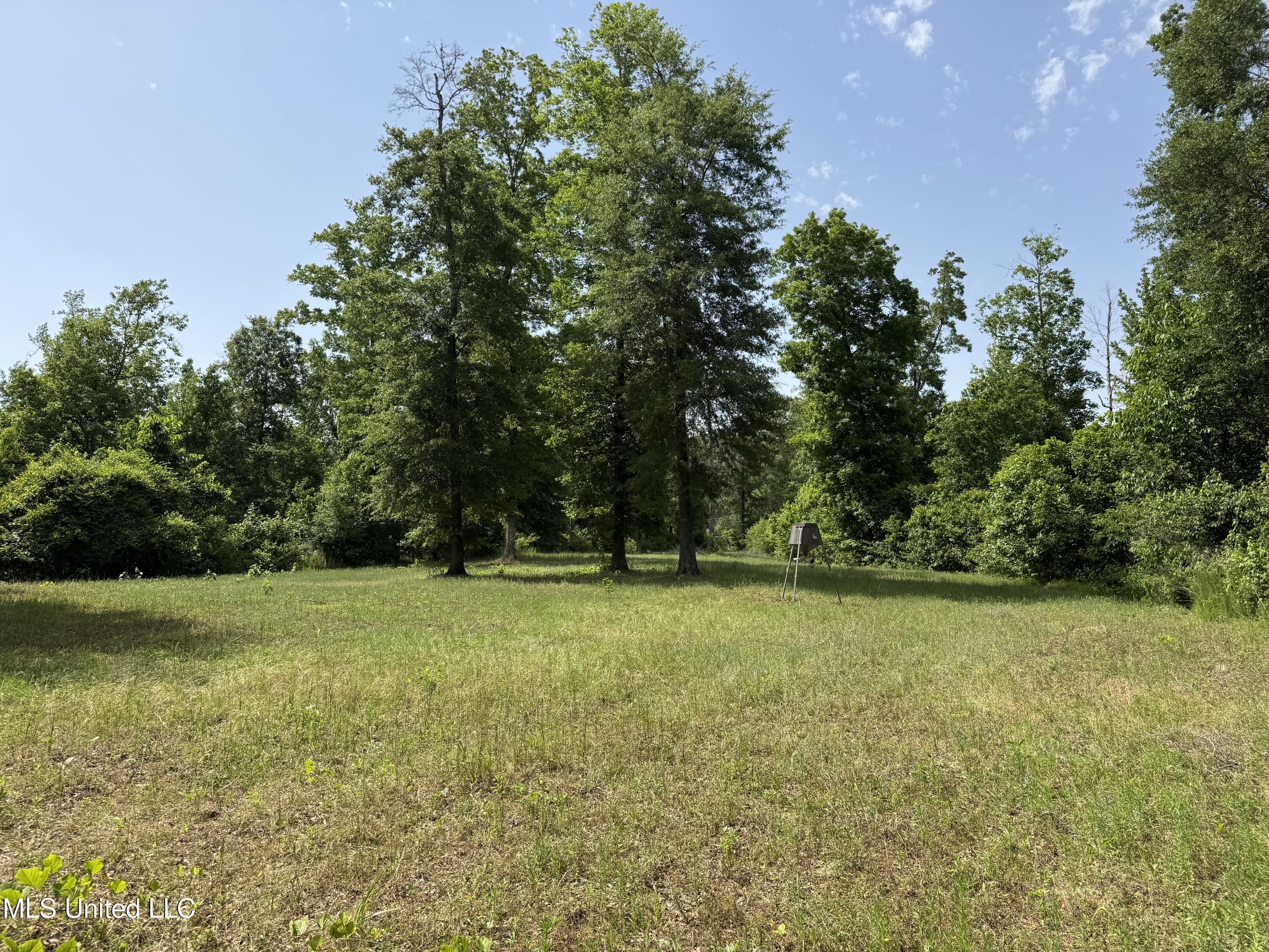 2550 Moncure Road, Terry, Mississippi image 14
