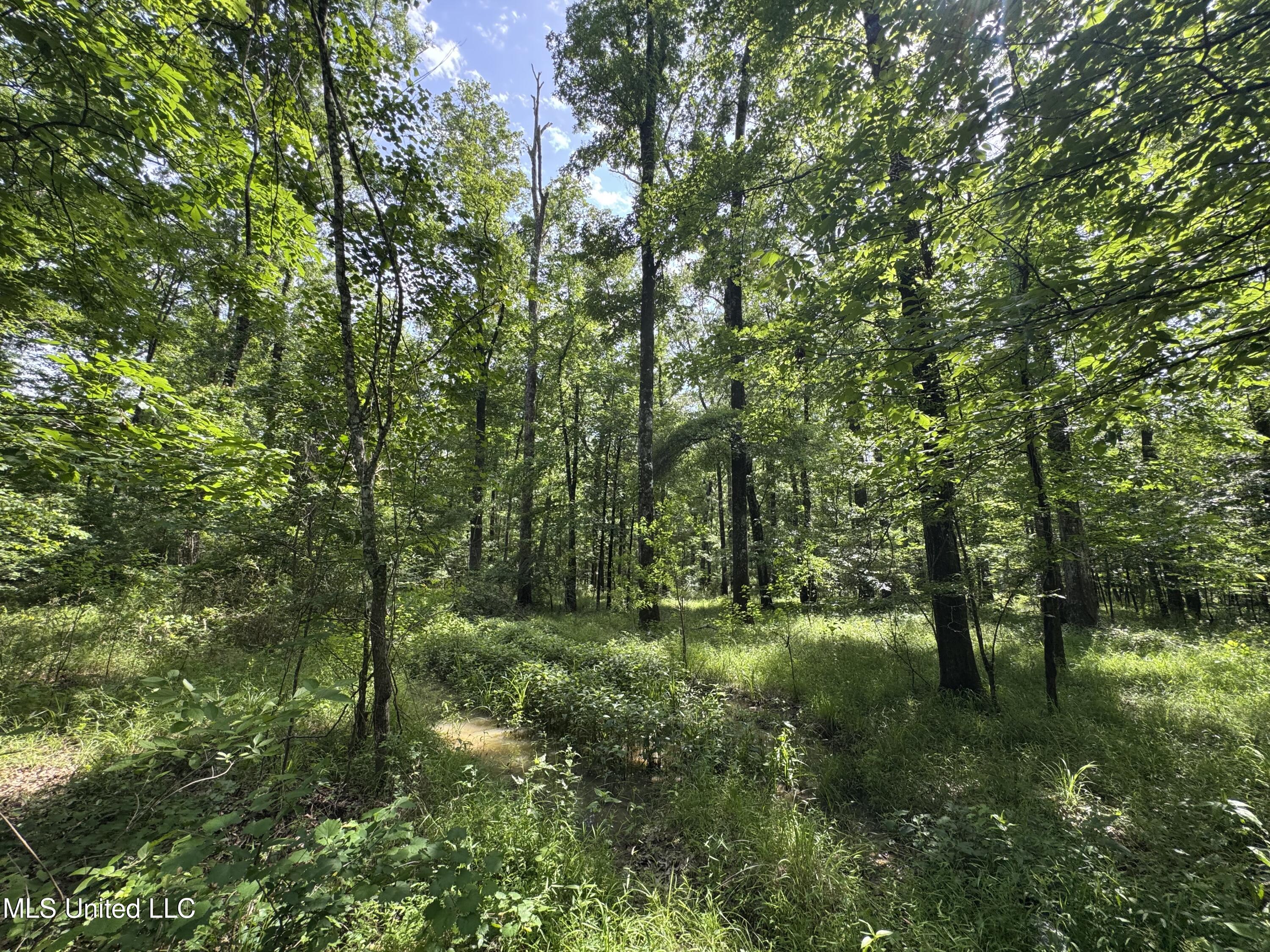 2550 Moncure Road, Terry, Mississippi image 17