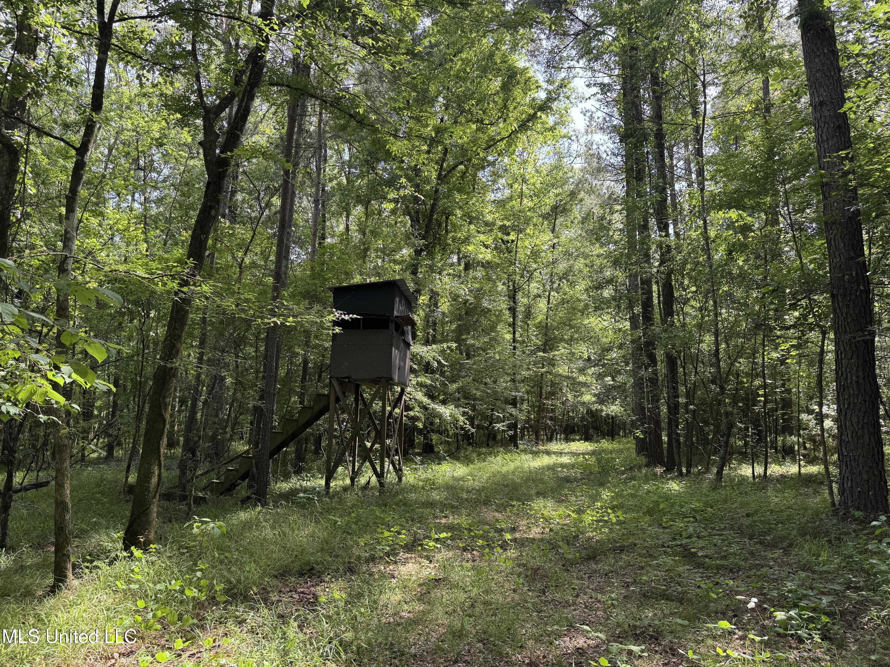 2550 Moncure Road, Terry, Mississippi image 22