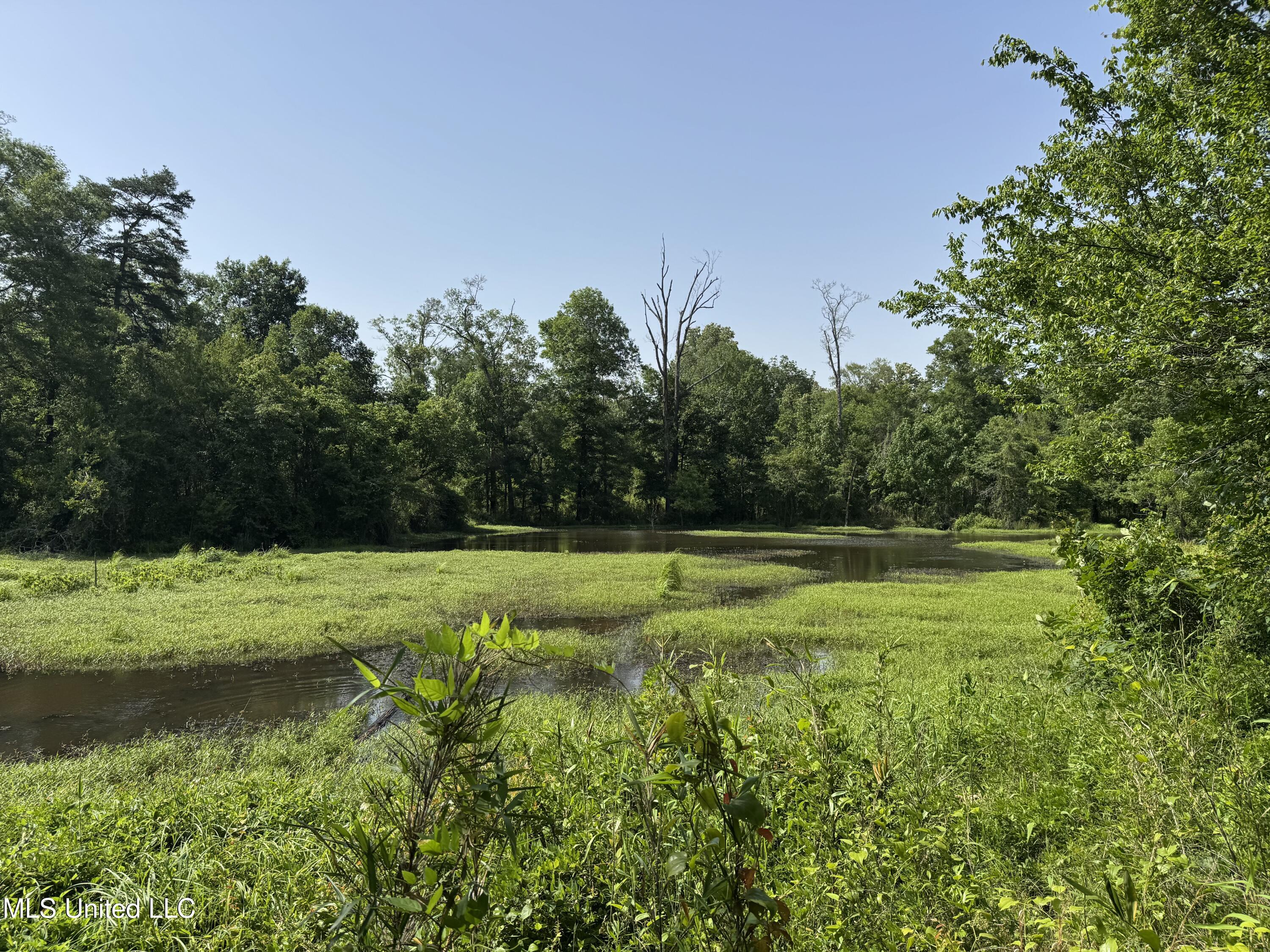 2550 Moncure Road, Terry, Mississippi image 35